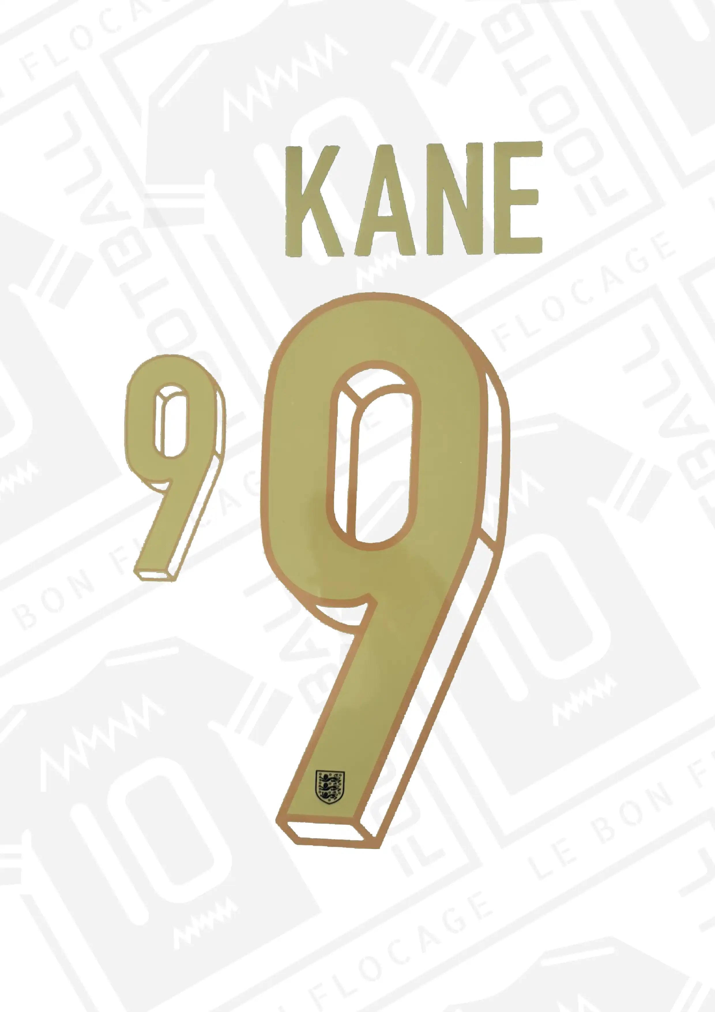 Sweat à capuche Angleterre Kane 9 Team - blanc Sweat à capuche Angleterre Kane 9 Team - blanc