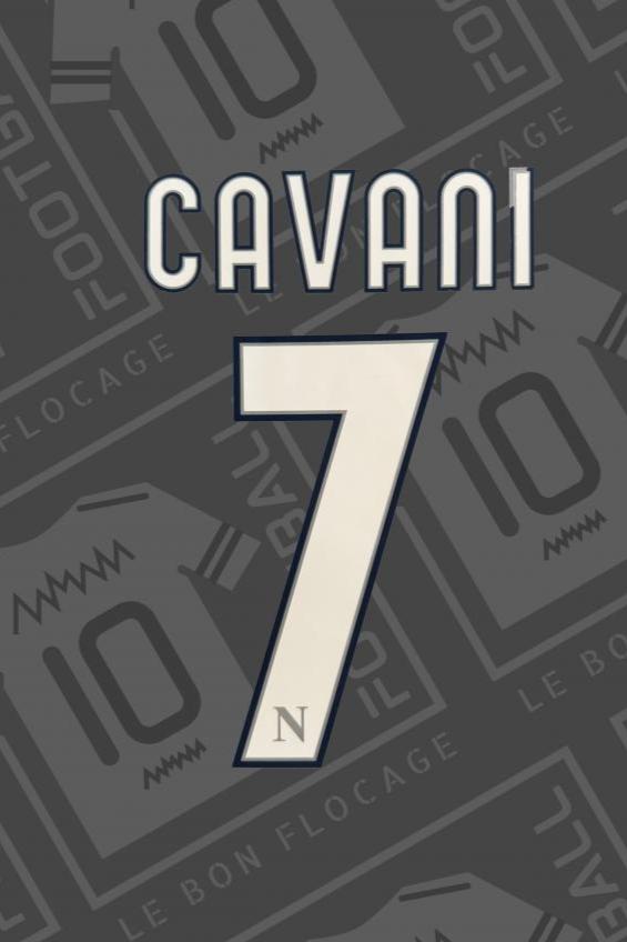 Selección oficial - Nápoles, Cavani, 2010/2011, local