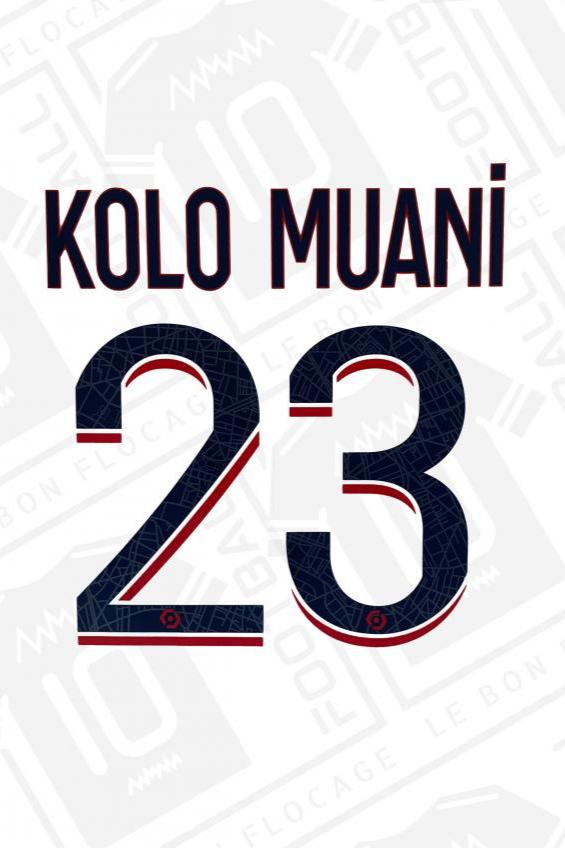 Official flocking - PSG, Kolo Muani, 2023/2024, away, blue/red