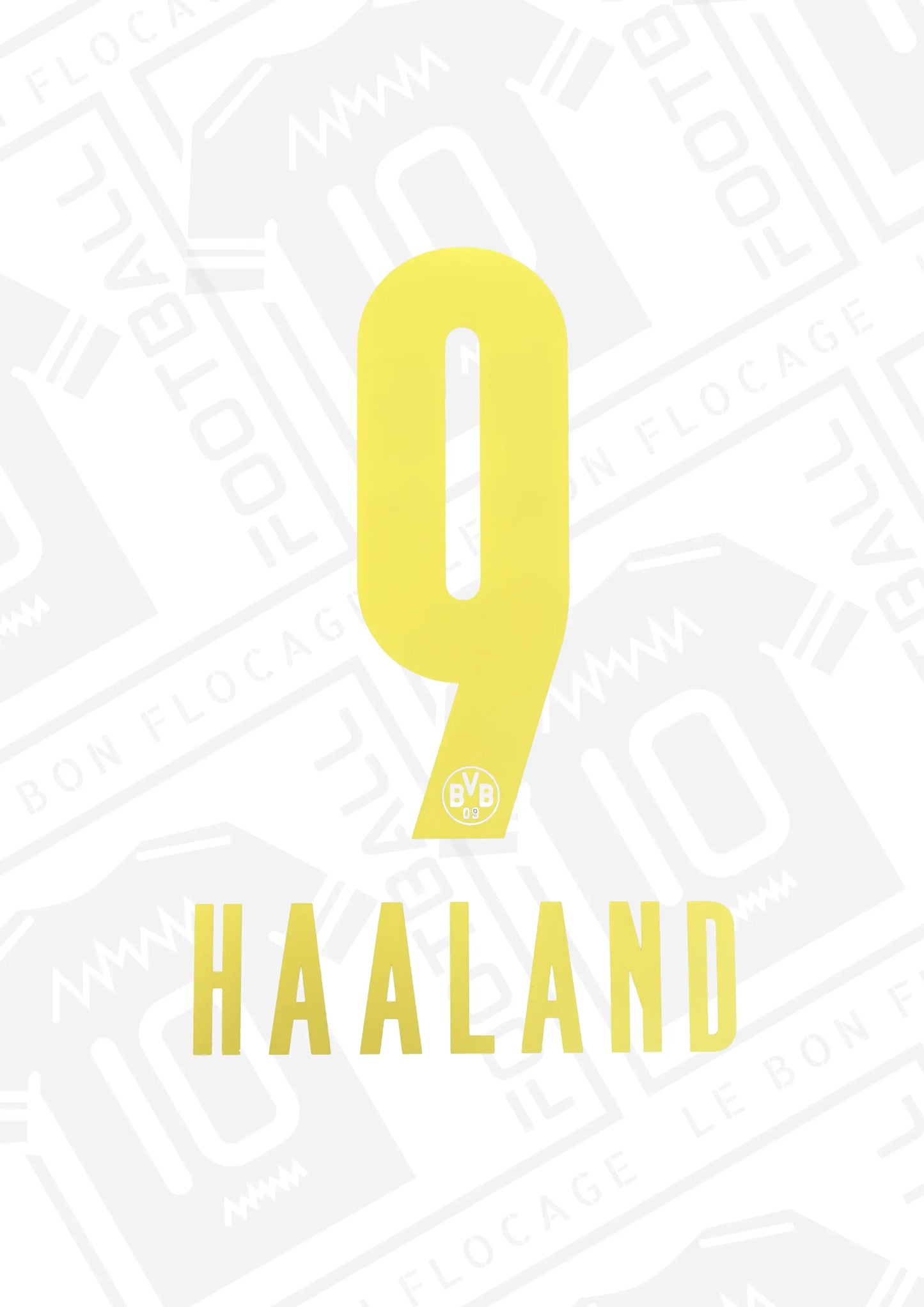 flcoage-officiel-dortmund-haaland-21-22-exterieur