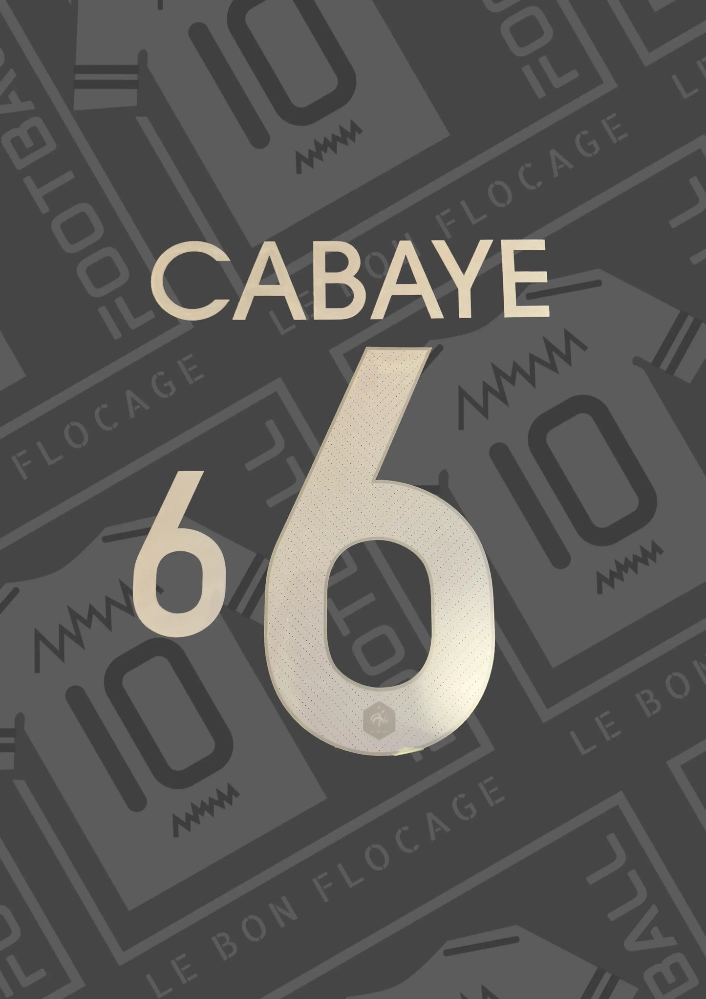 flocage-officiel-cabaye-france-2014-domicile