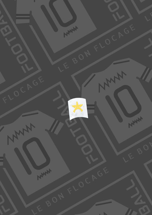 flocage-officiel-etoile-psg