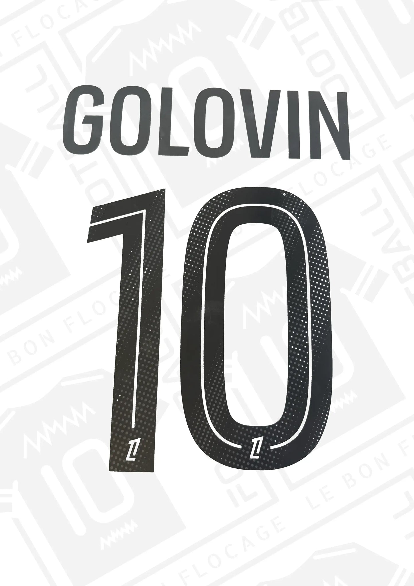 flocage-officiel-golovin-monaco-25-26-third