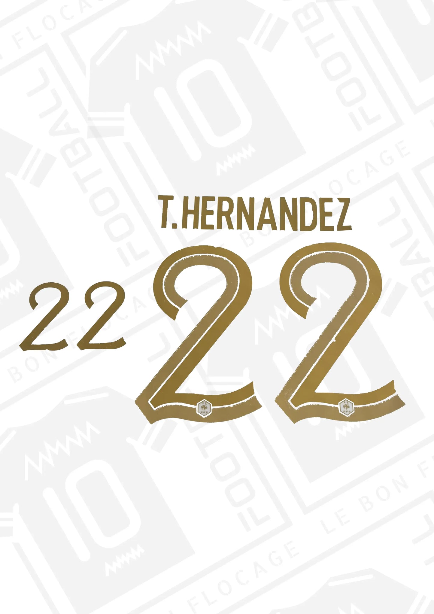 flocage-officiel-hernandez-france-2022-domicile