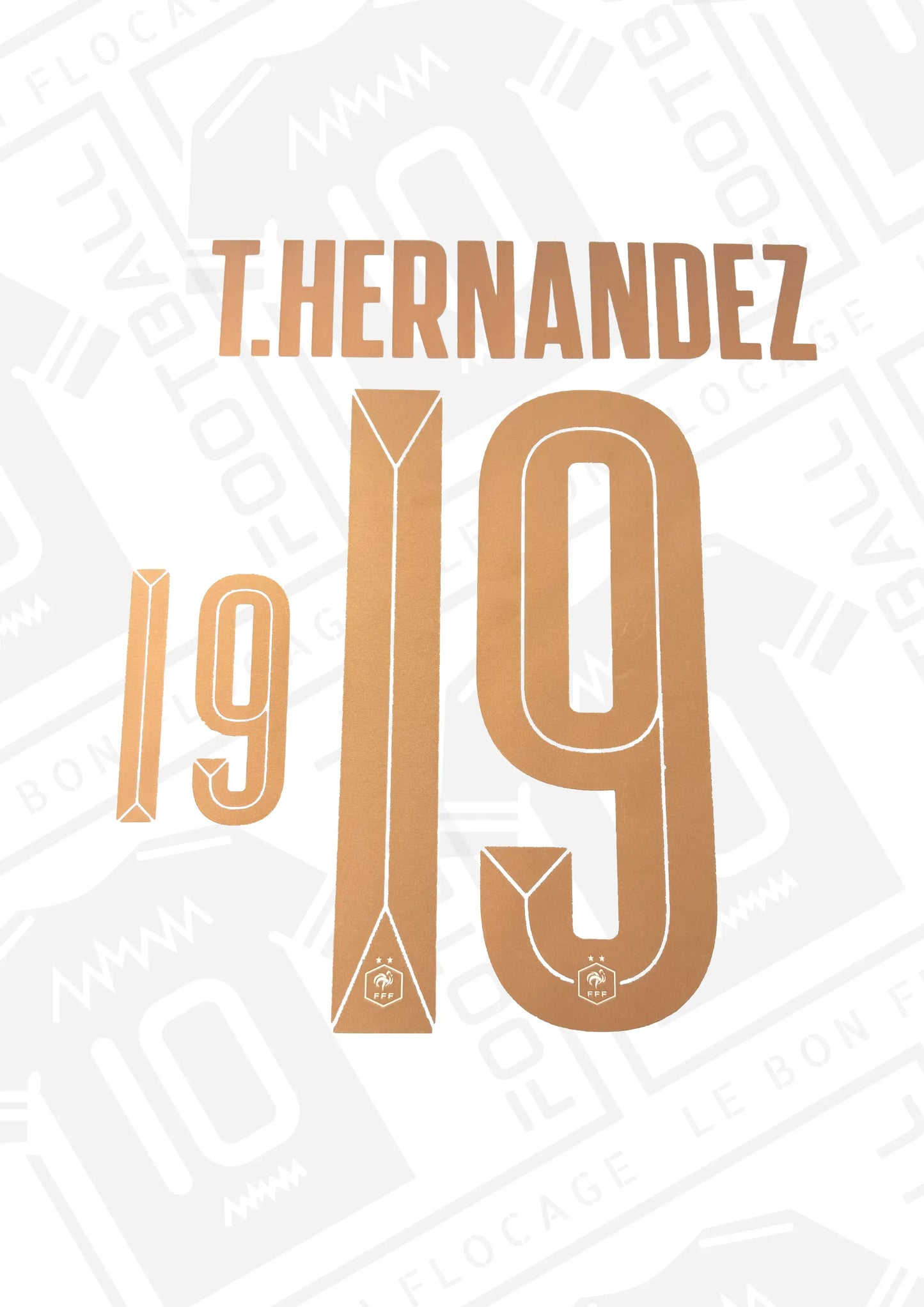 flocage-officiel-hernandez-france-2026-exterieur