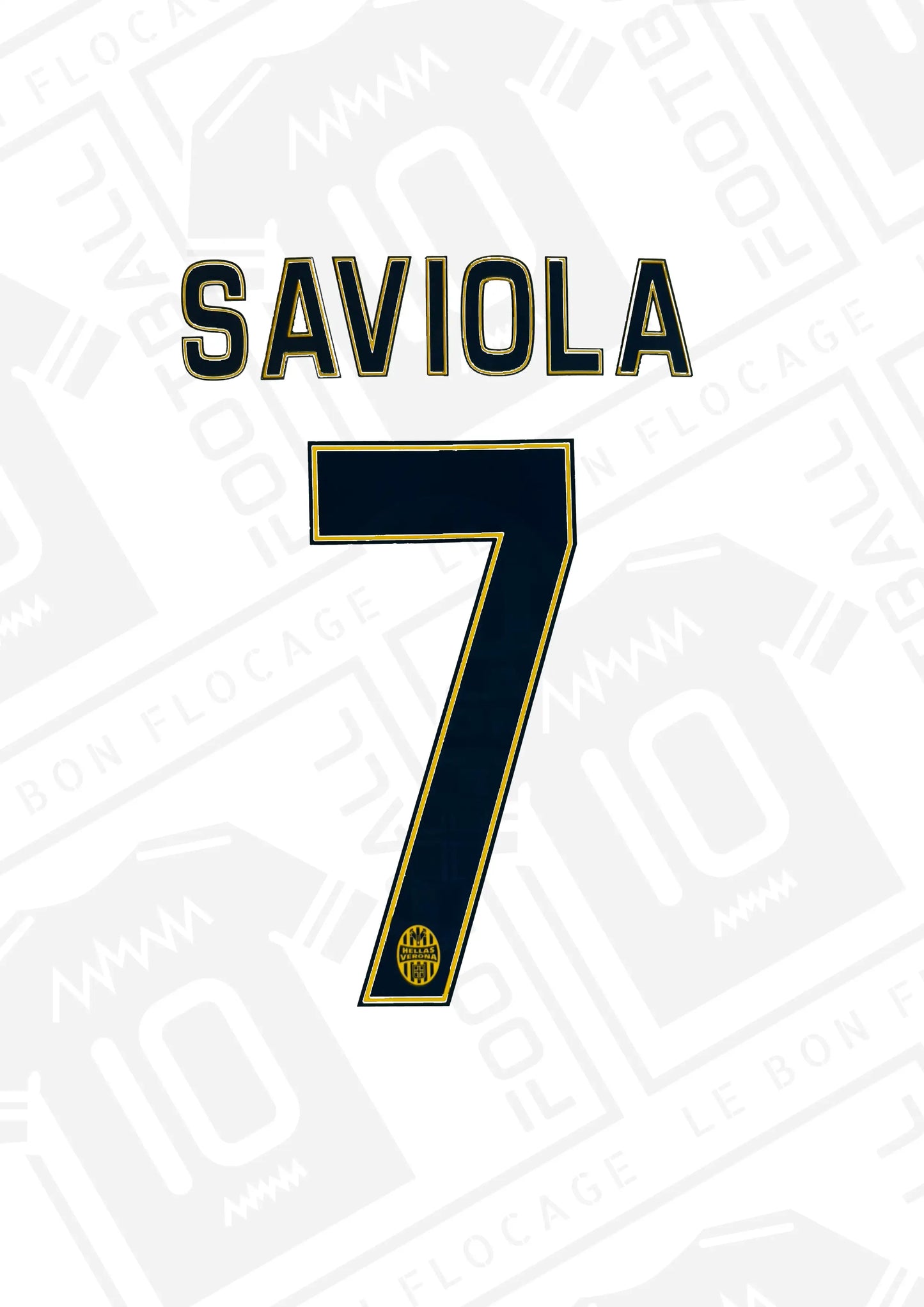 flocage-officiel-saviola-hellas-verone-14-15-exterieur