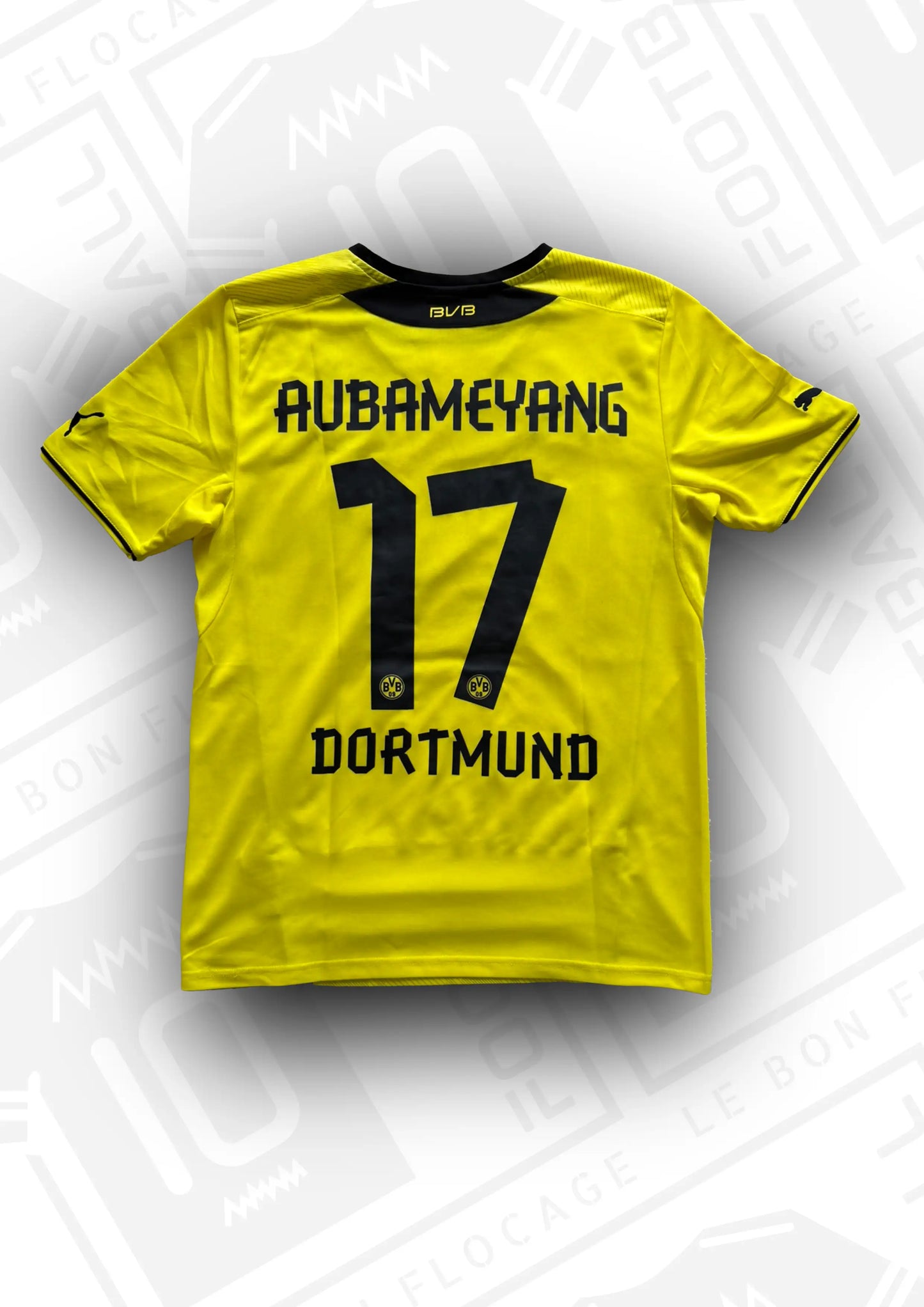 maillot-officiel-Dortmund-domicile-13-14-face