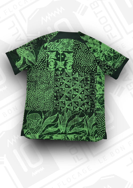 maillot-officiel-nigeria-2022-domicile-dos