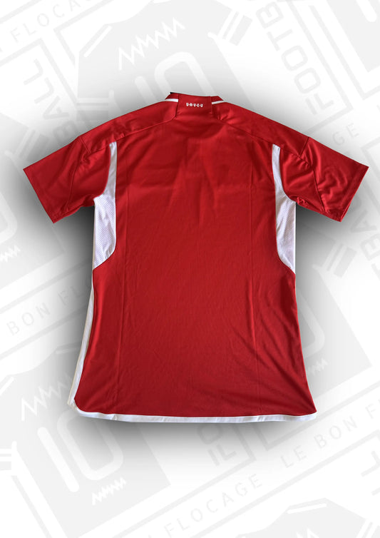 maillot-officiel-union-berlin-23-24-domiicle-dos
