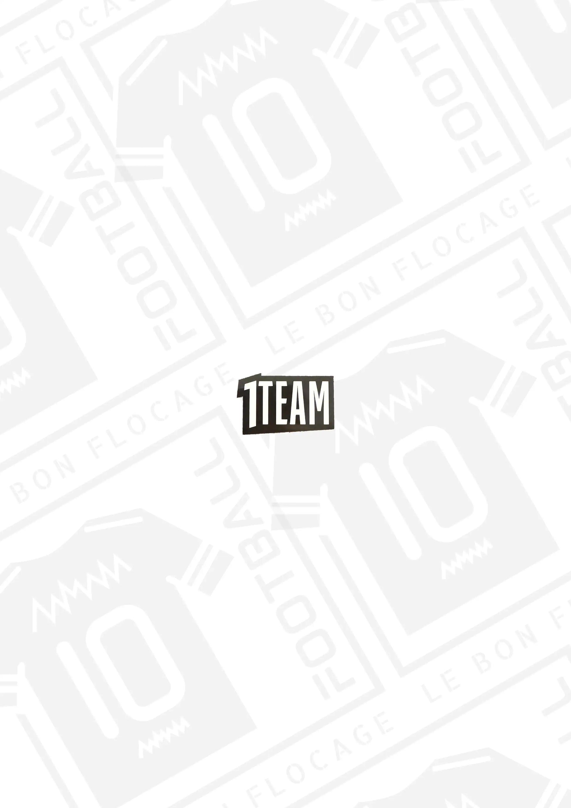 patch-officiel-1team