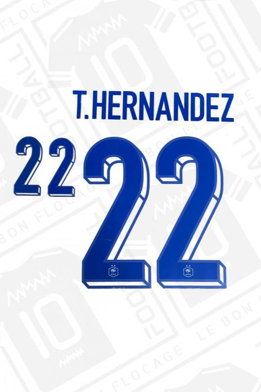 Official flocking - France, Hernandez, 2023/2024, exterior 
