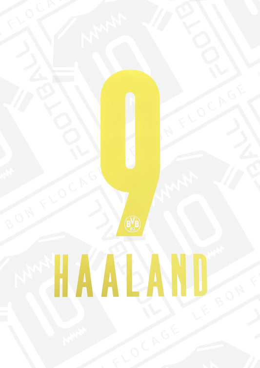 flcoage-officiel-dortmund-haaland-21-22-exterieur