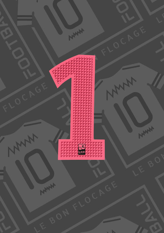flcoage-officiel-numero-1-psg-15-16-third