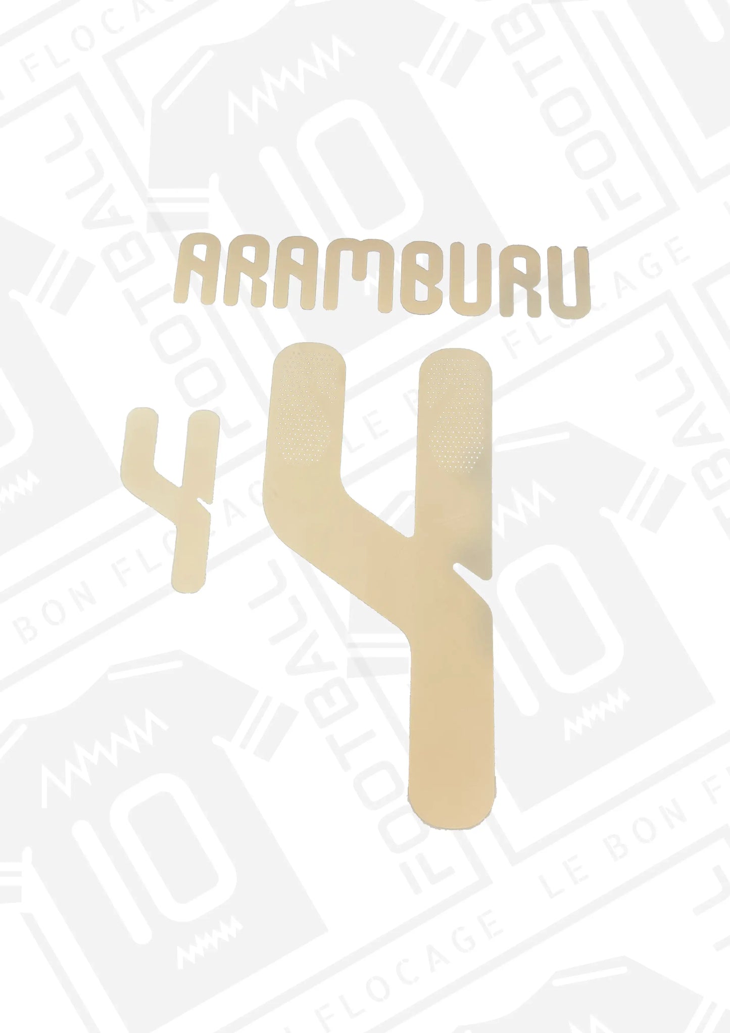 flocage-officiel-aramburu-2026-domicile-venezuela