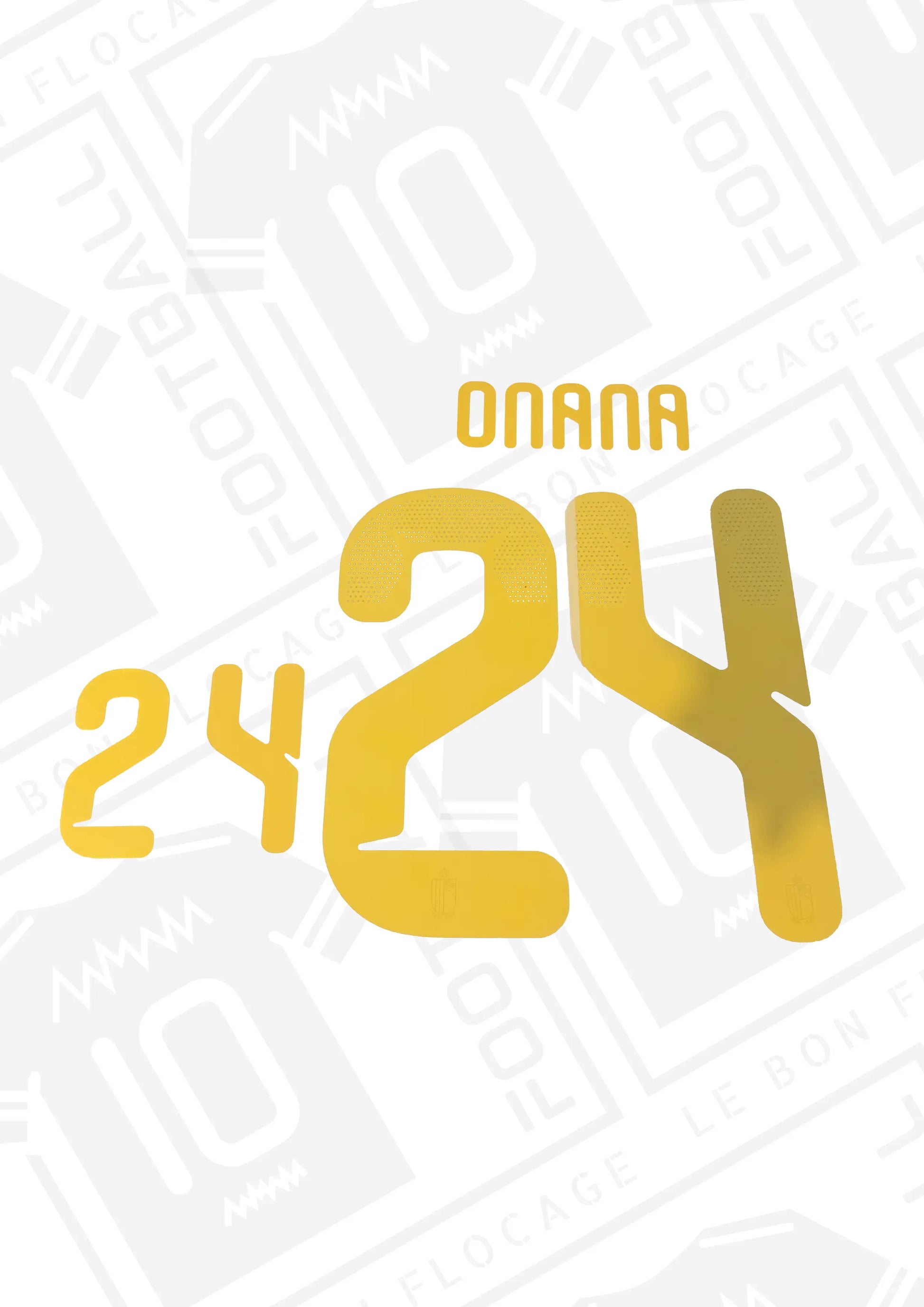 flocage-officiel-belgique-onana-2026-domicile