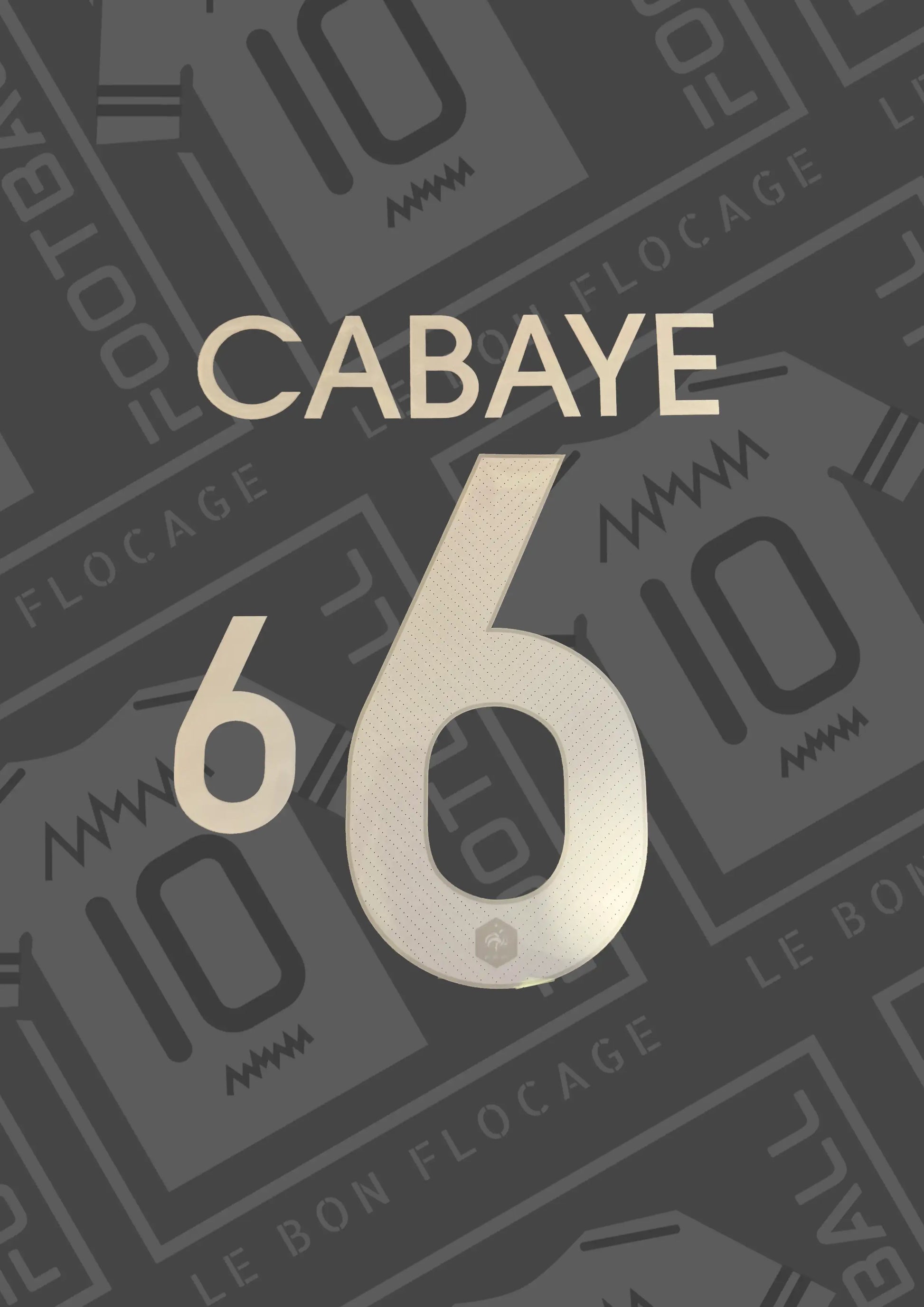 flocage-officiel-cabaye-france-2014-domicile