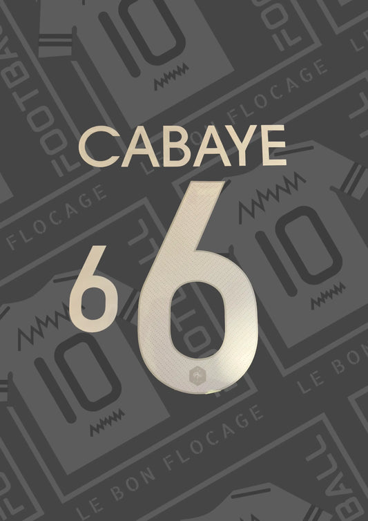 flocage-officiel-cabaye-france-2014-domicile