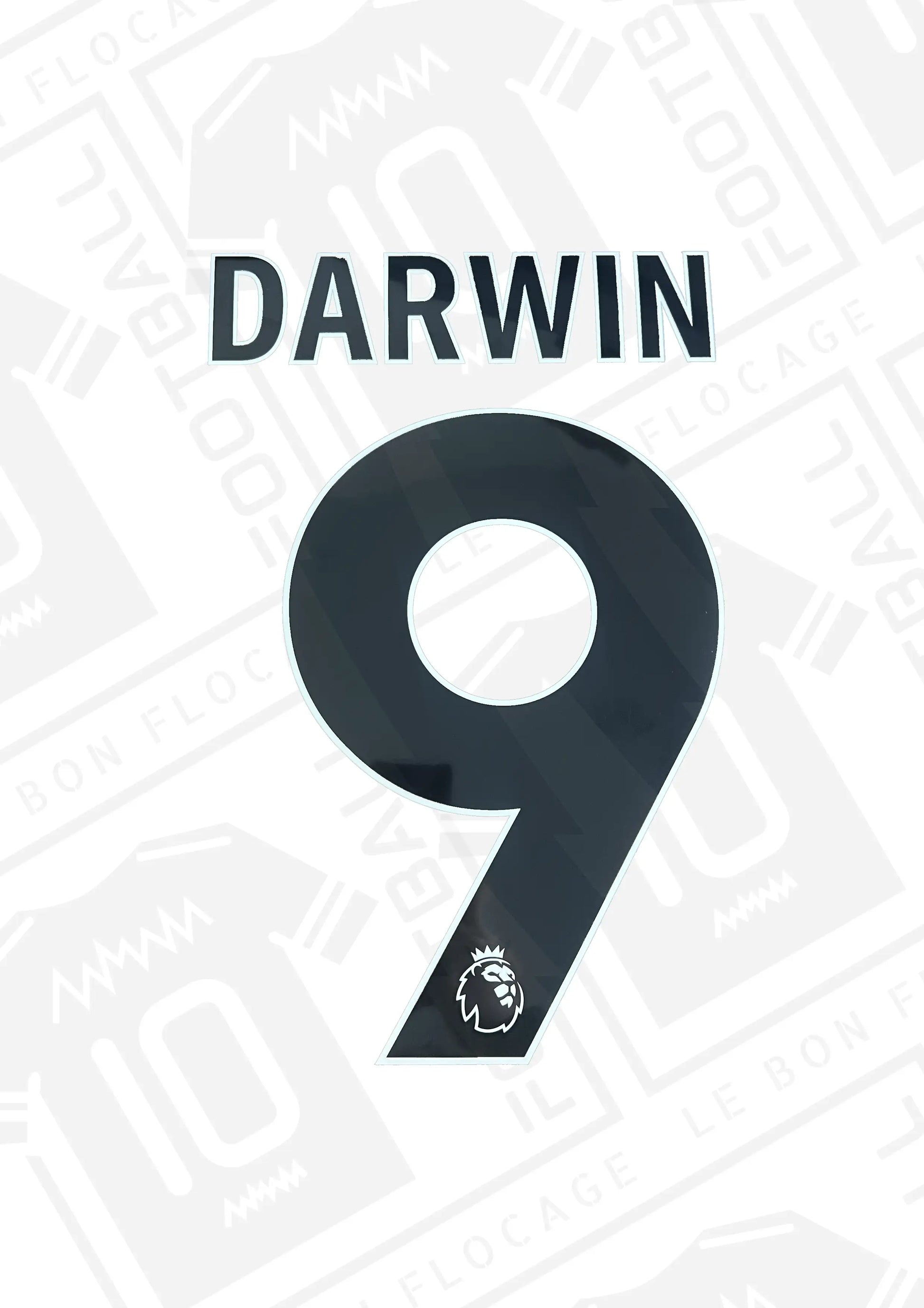 flocage-officiel-darwin-liverpool-24-25-exterieur