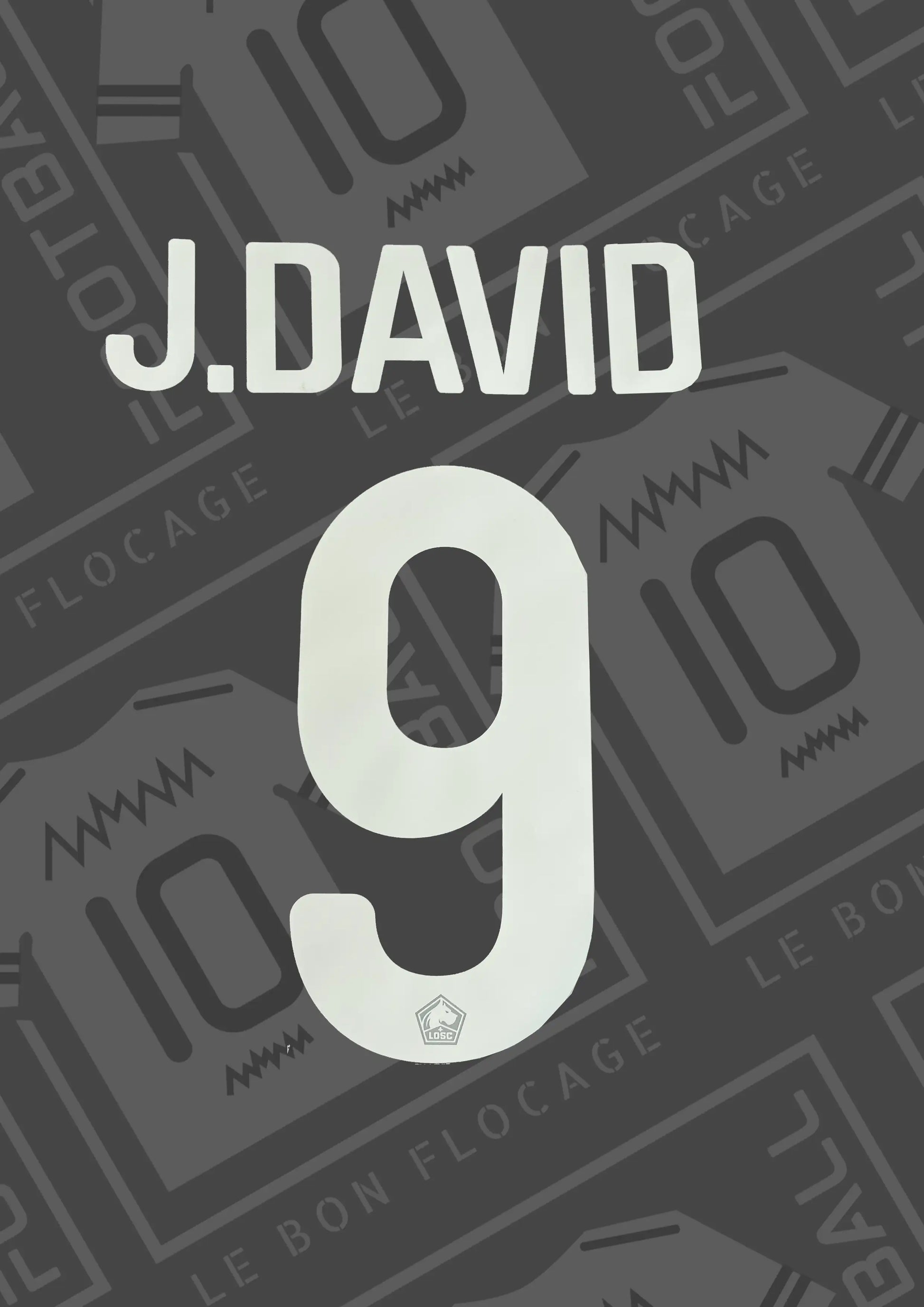 flocage-officiel-david-21-22-lille-domicile