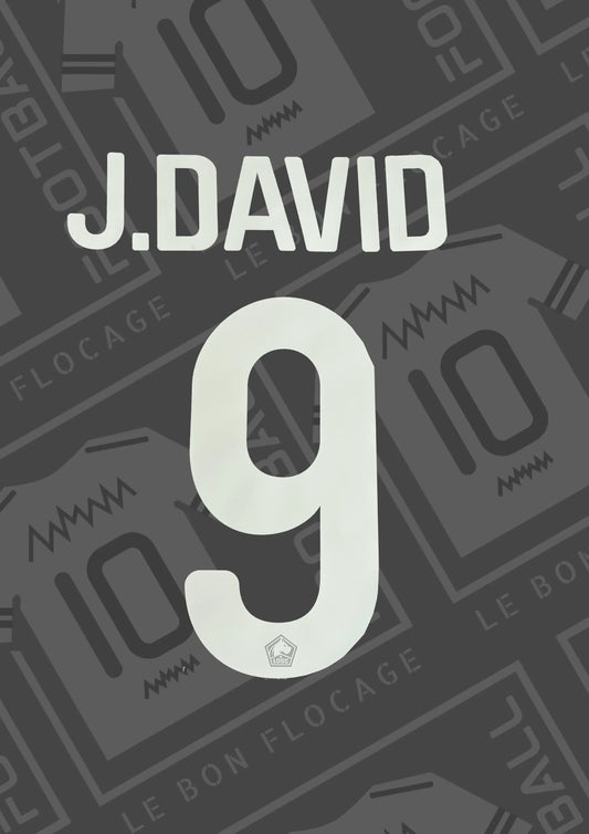 flocage-officiel-david-21-22-lille-domicile
