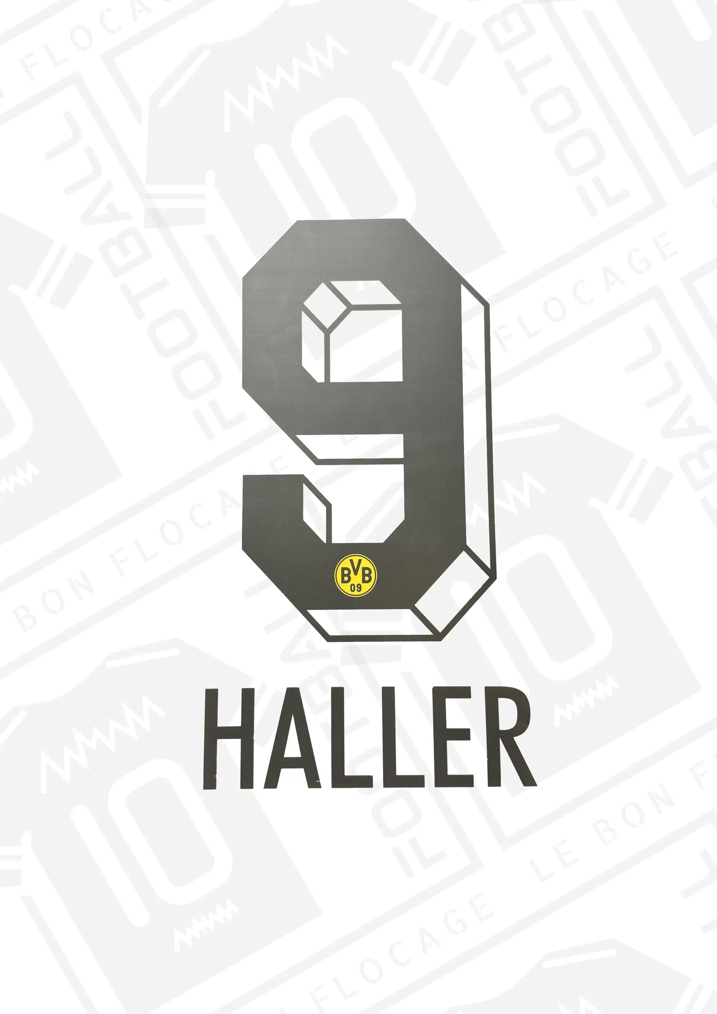 flocage-officiel-dortmund-haller-23-24-domicile