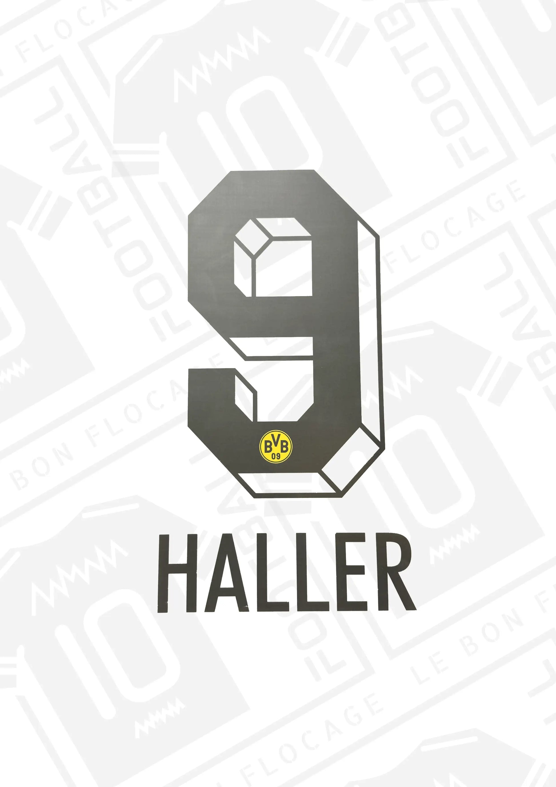 flocage-officiel-dortmund-haller-23-24-domicile