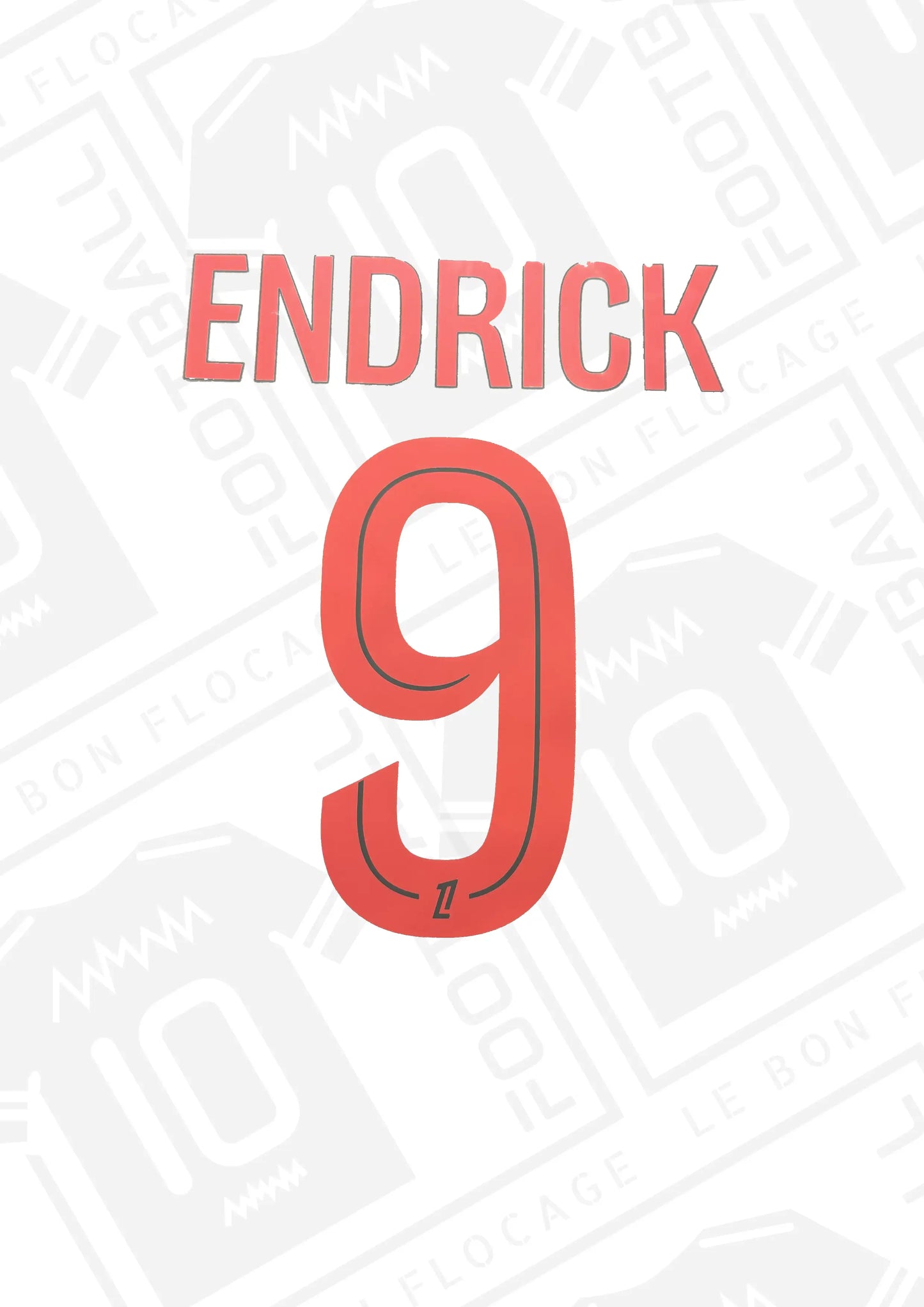 flocage-officiel-endrick-lyon-25-26-third