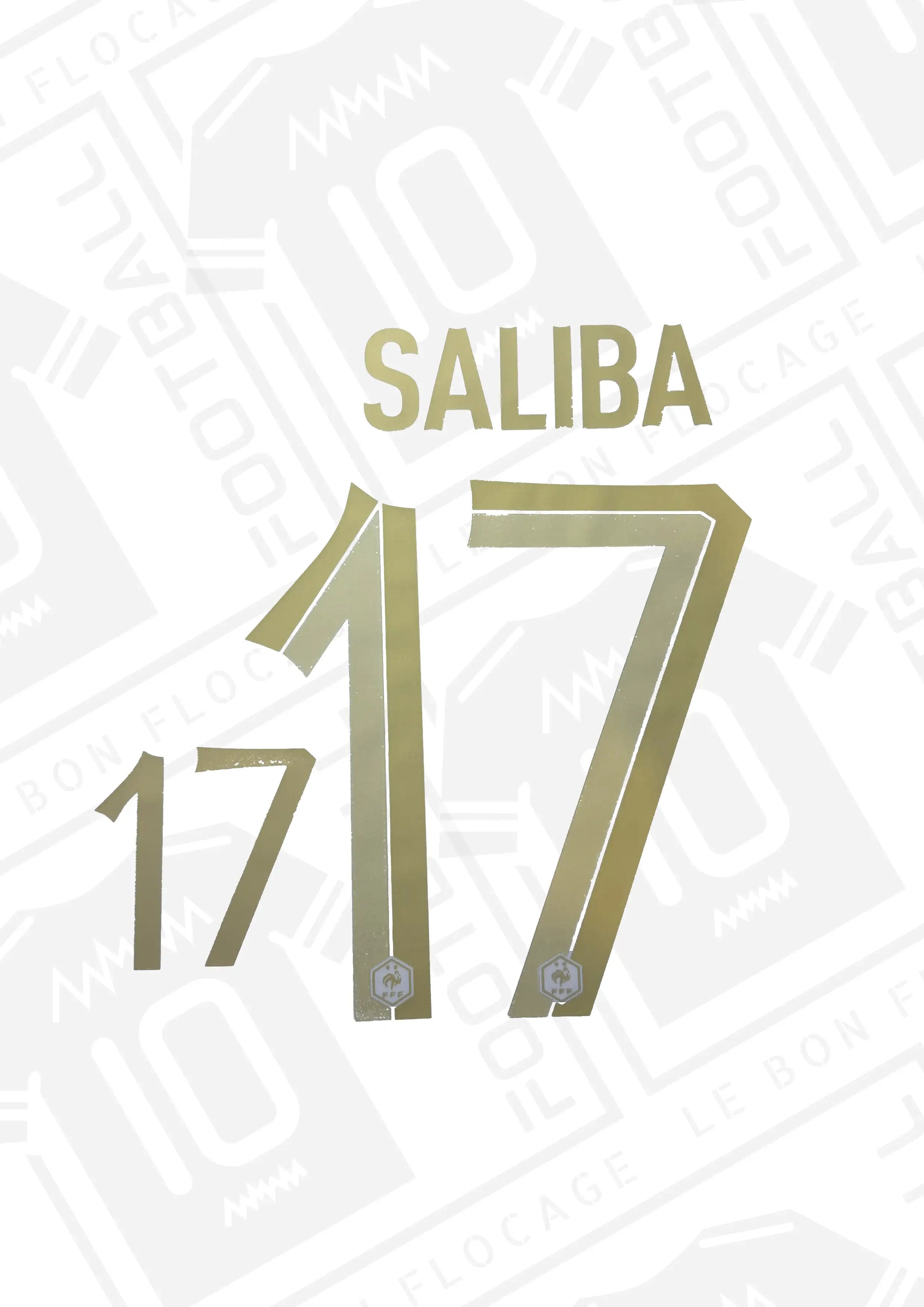 flocage-officiel-france-2022-domicile-saliba