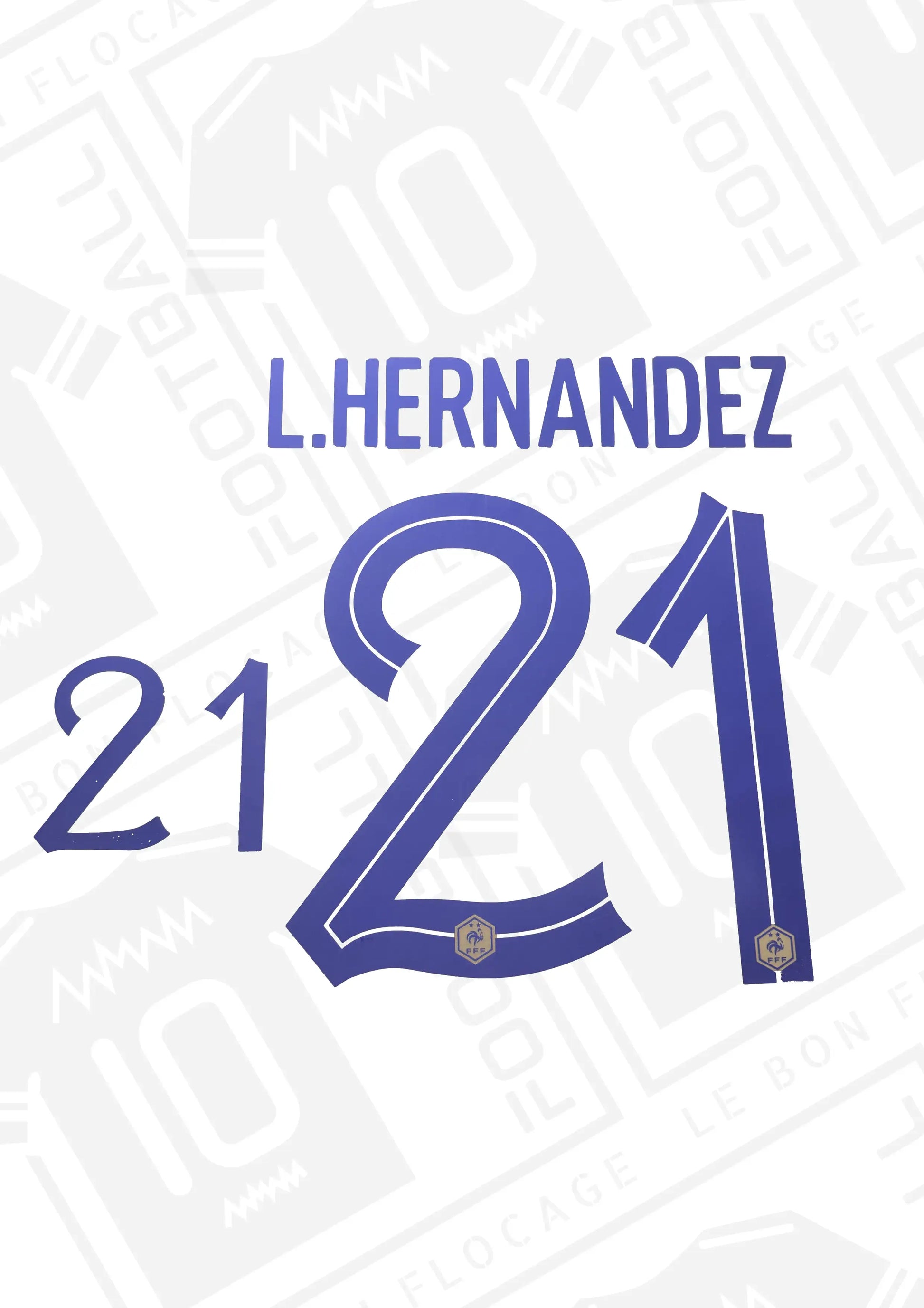 flocage-officiel-france-2022-exterieur-hernandez-numero-21