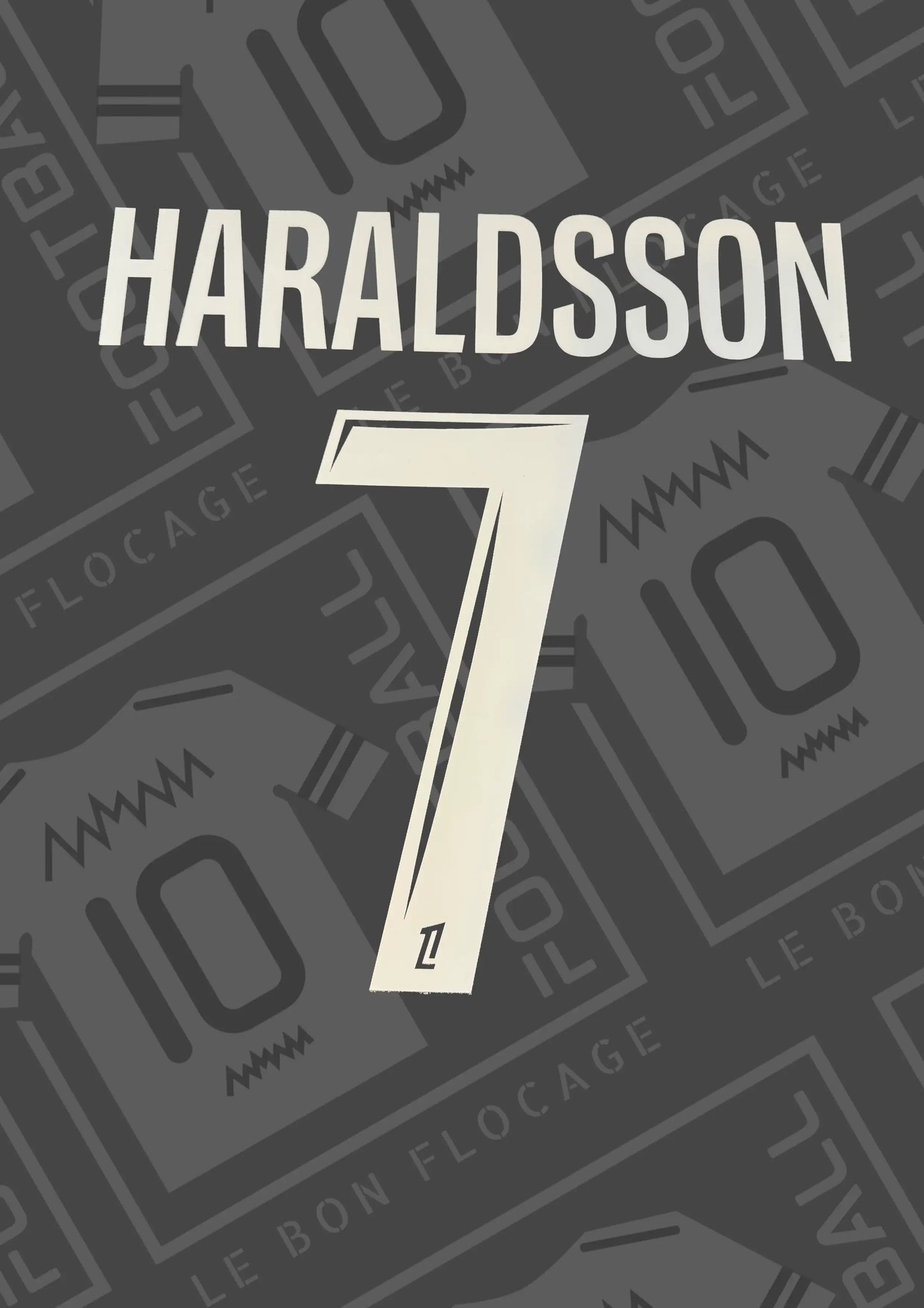 flocage-officiel-haraldsson-lille-domiicle-25-26