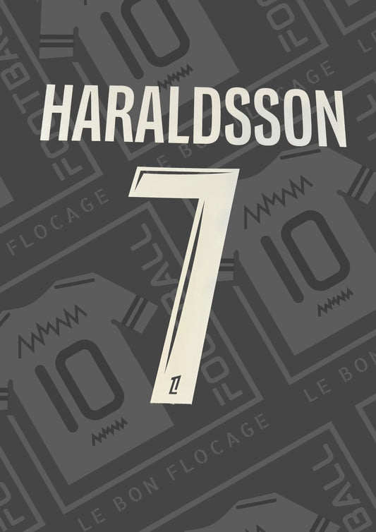 flocage-officiel-haraldsson-lille-domiicle-25-26