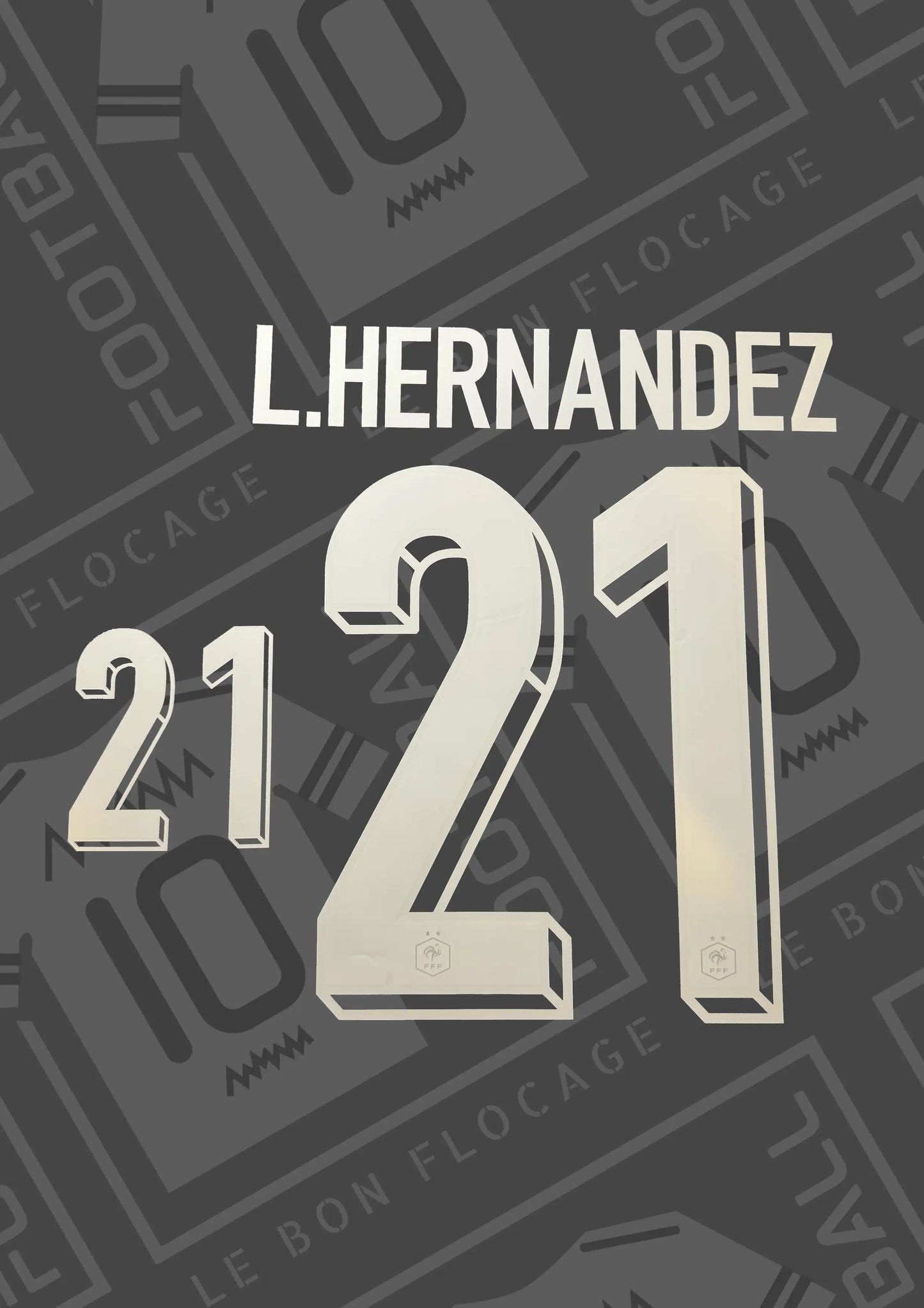 flocage-officiel-hernandez-domicile-france-2024-numero-21