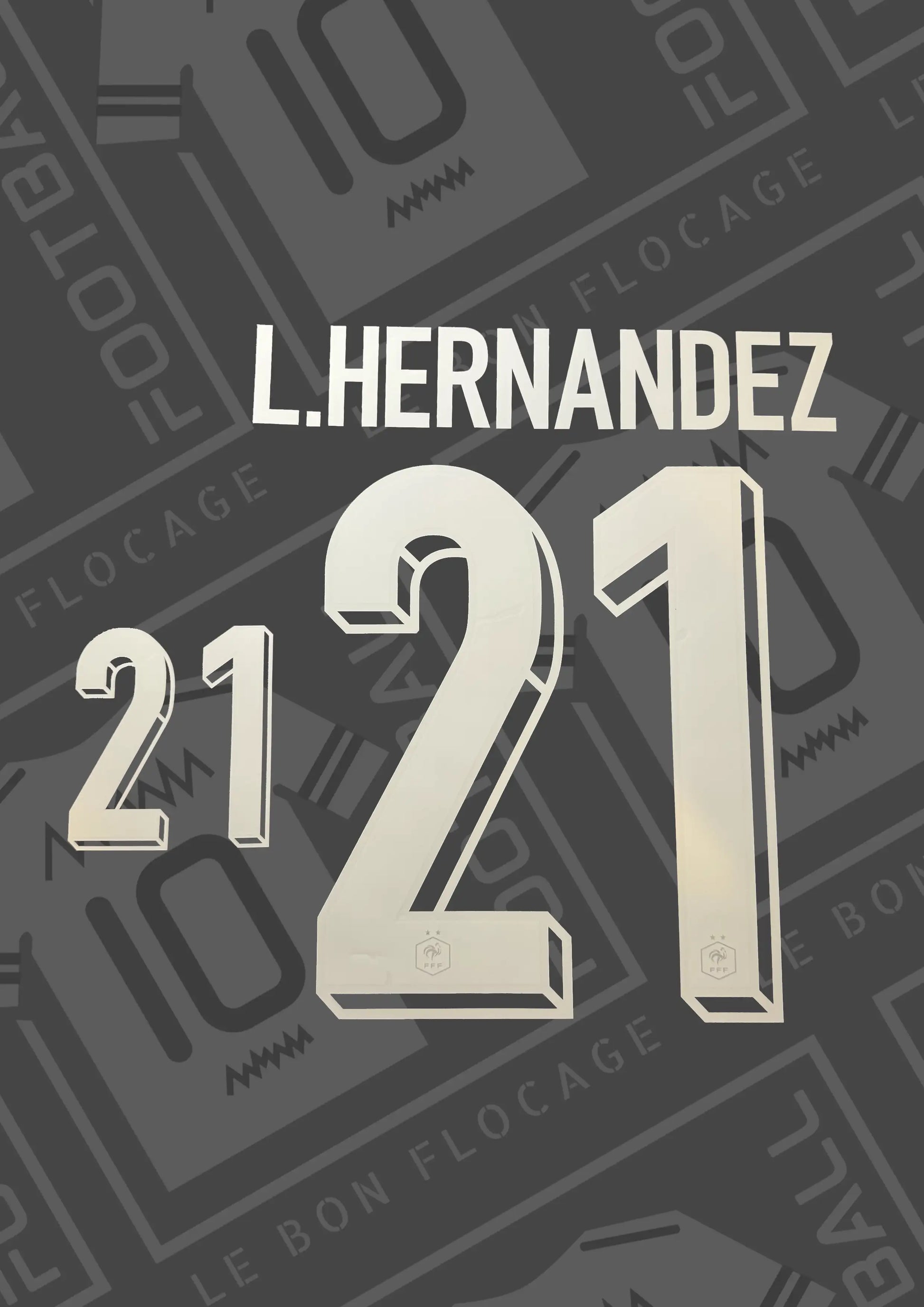 flocage-officiel-hernandez-domicile-france-2024-numero-21