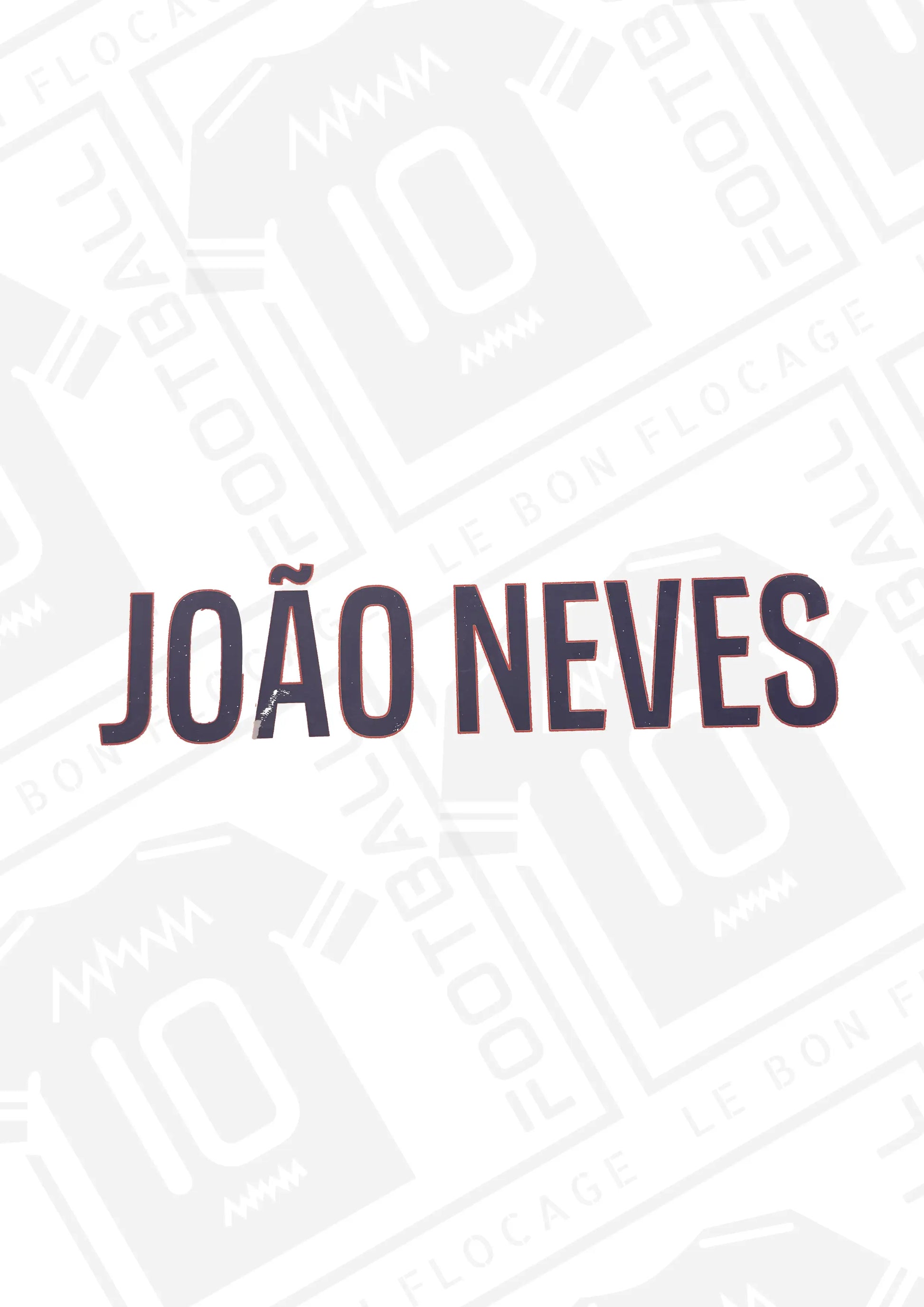 flocage-officiel-incomplet-nom-joao-neves-psg-exterieur-25-26