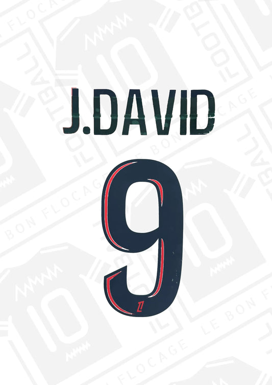flocage-officiel-lille-exterieur-24-25-david