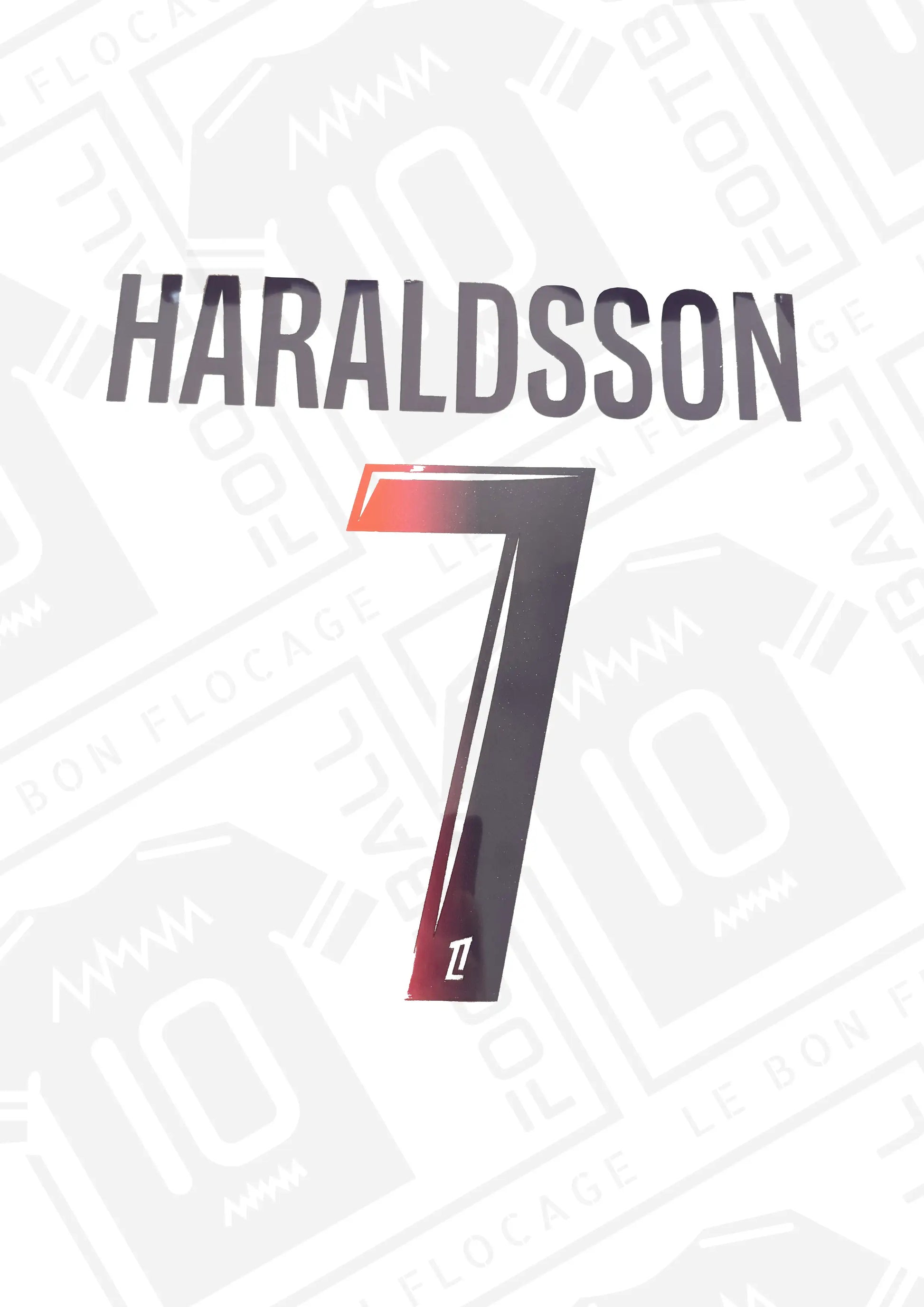 flocage-officiel-lille-haraldsson-25-26-exterieur