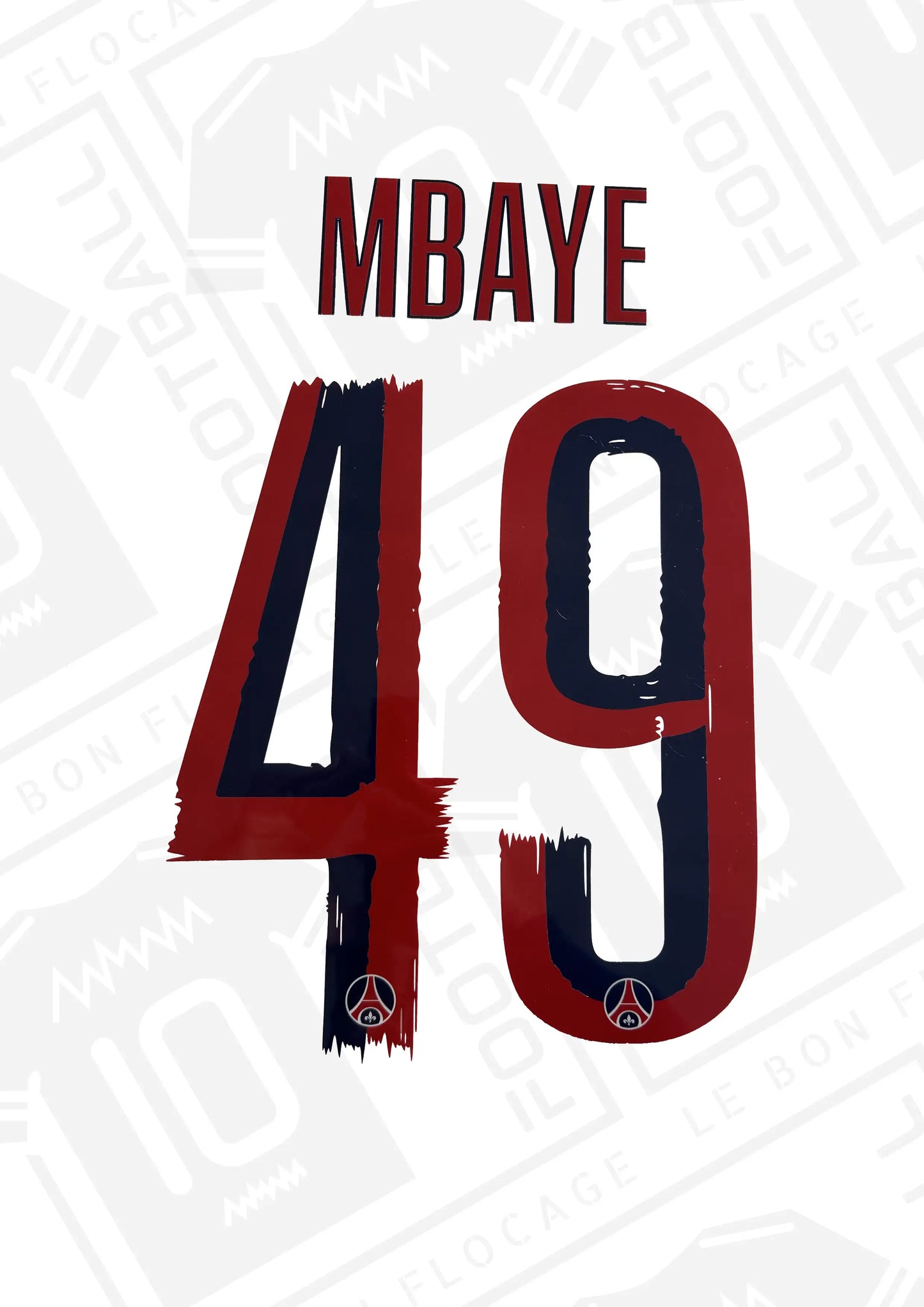 flocage-officiel-mbaye-exterieur-25-26-psg-ldc
