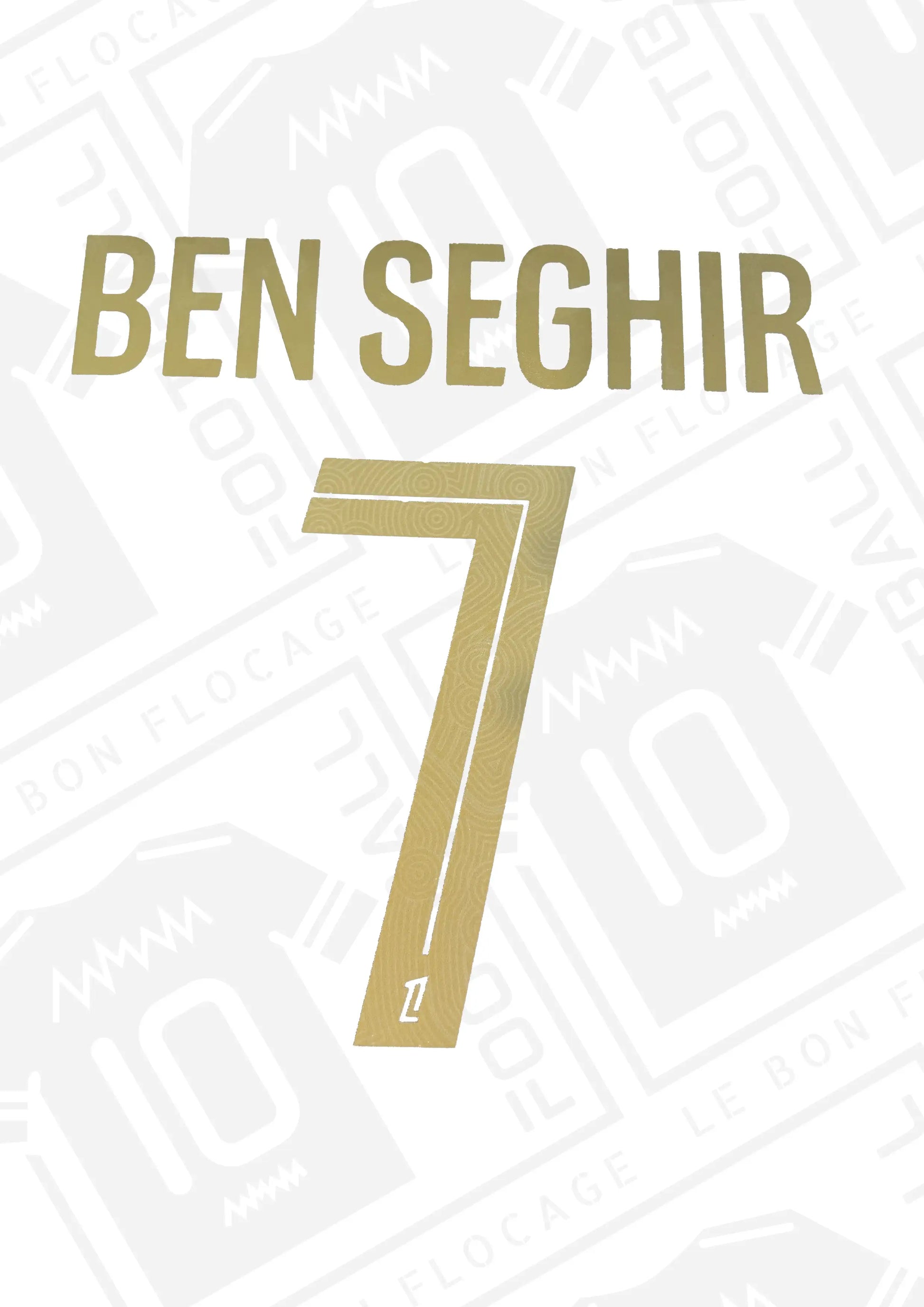 flocage-officiel-monaco-benseghir-exterieru-25-26