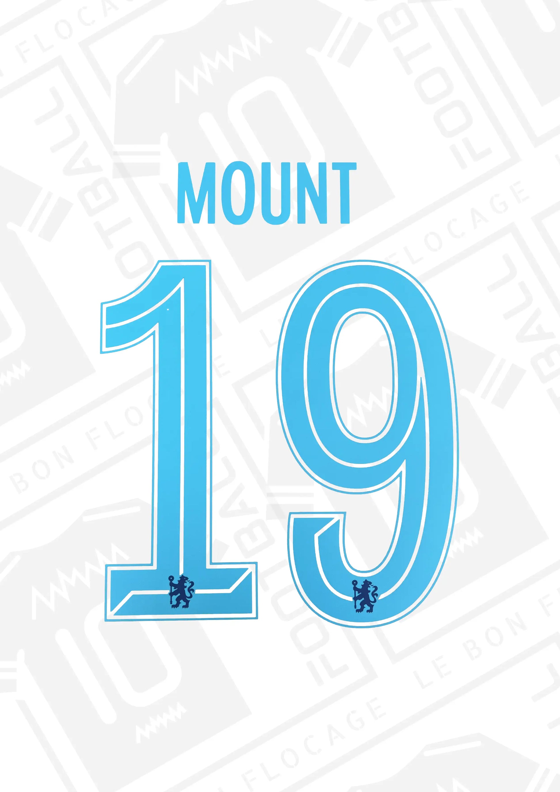 flocage-officiel-mount-chelsea-22-23-exterieur