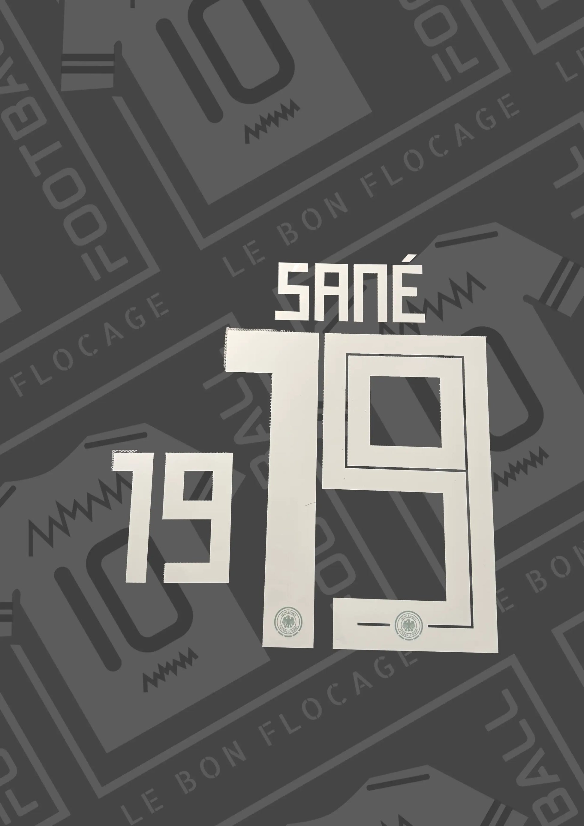 flocage-repro-sane-allemagne-2018