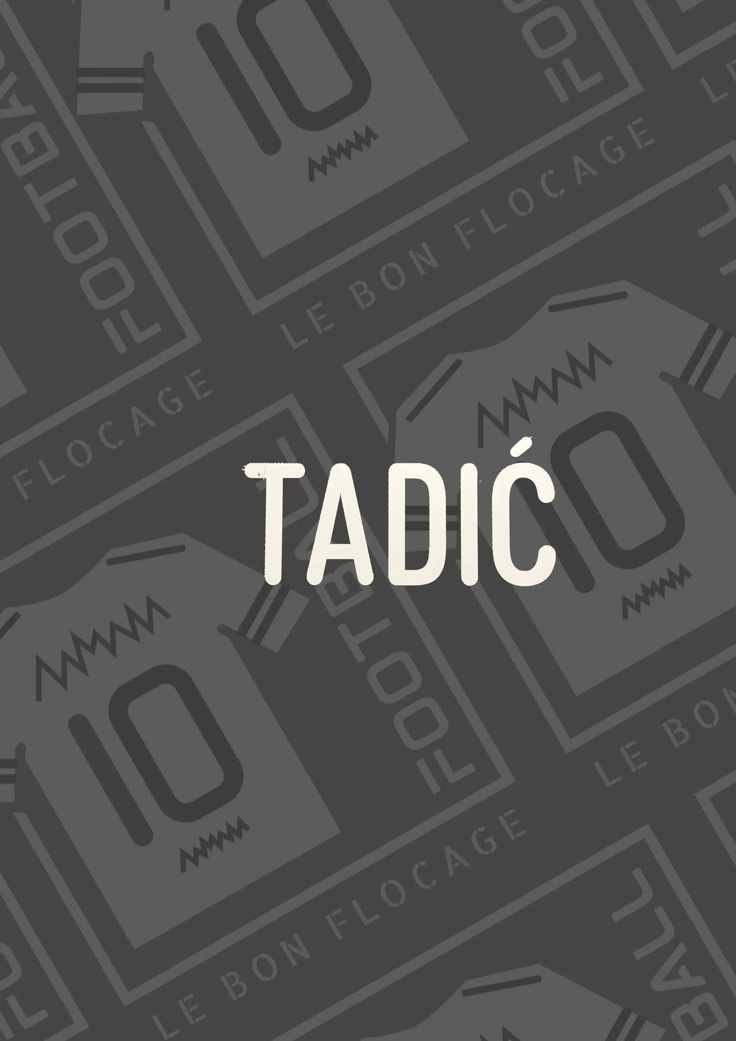 flocage-repro-serbie-2024-domicile-tadic