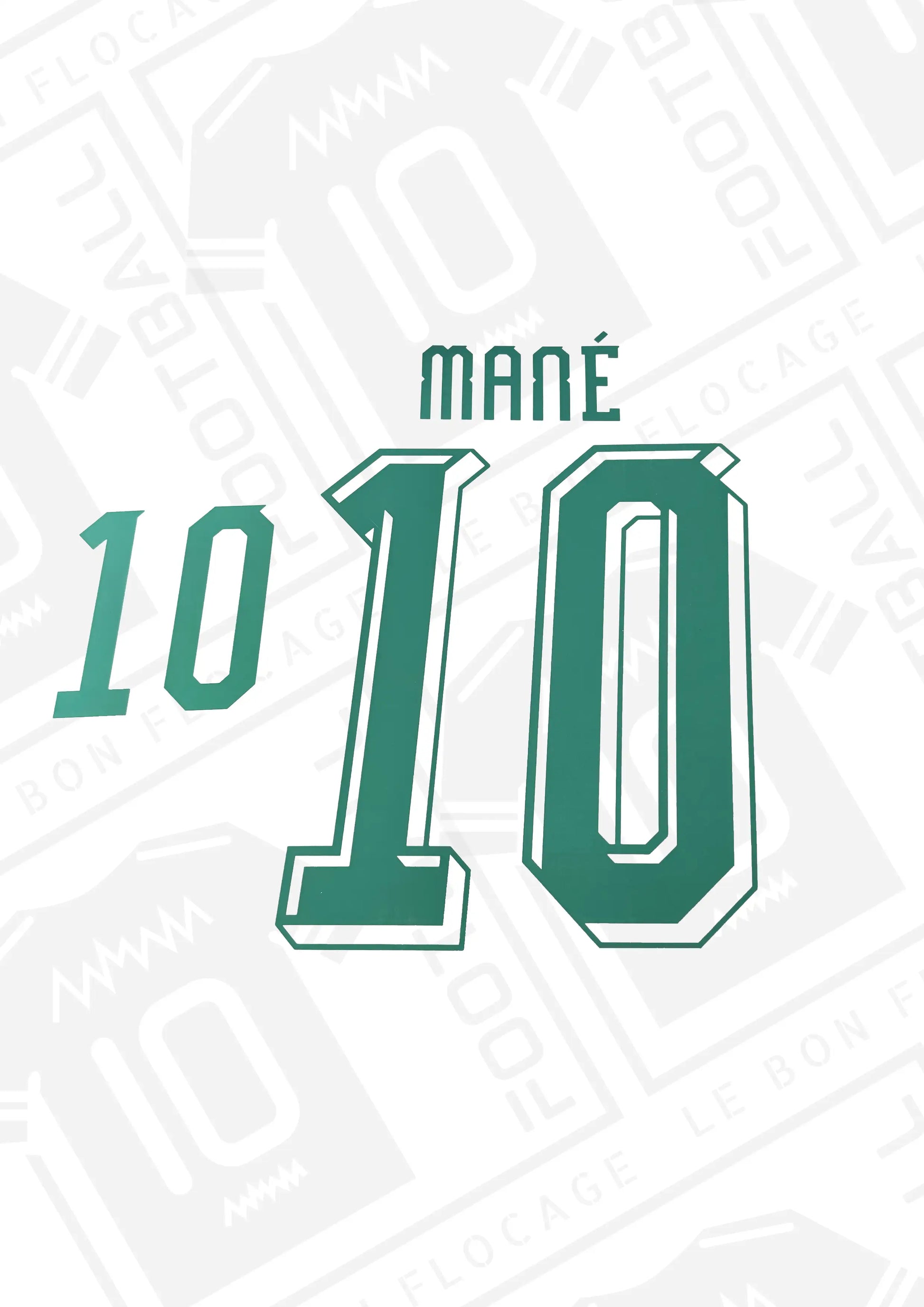 flocage-officiel-senegal-2026-domicile-mane