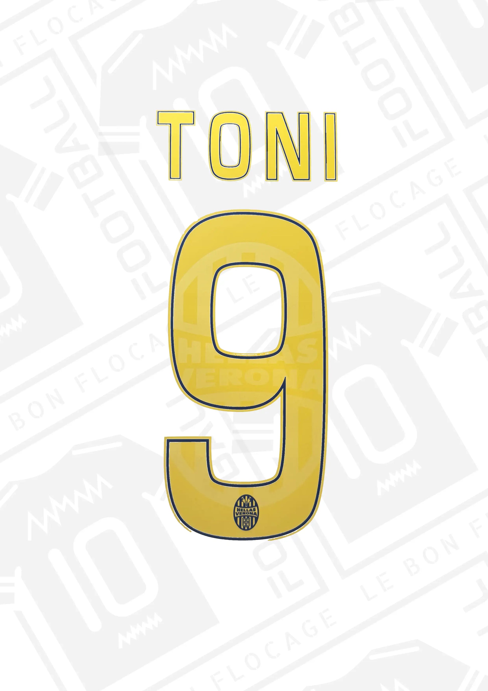 flocage-officiel-toni-hellas-verone-14-15-domicile