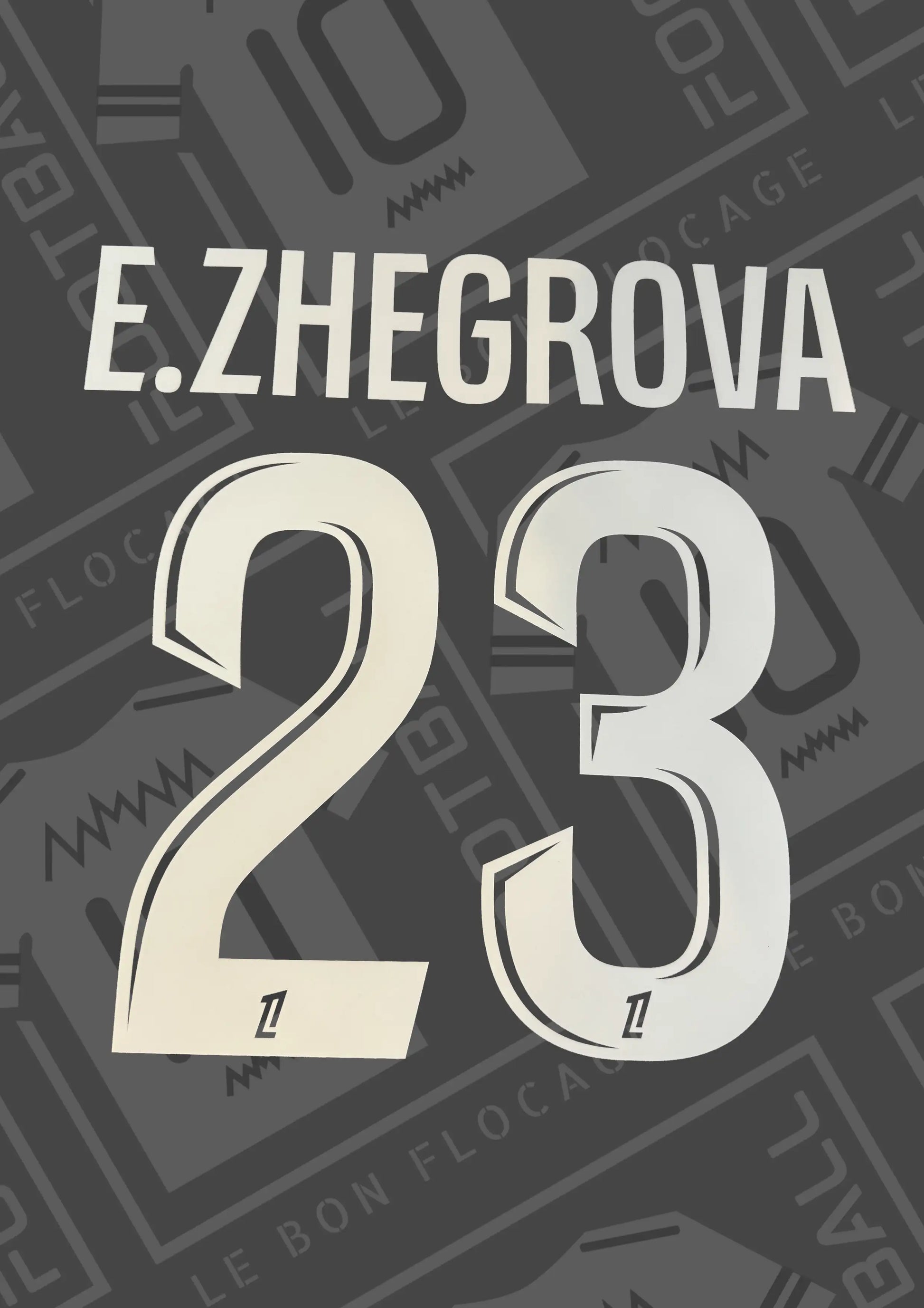 flocage-officiel-zhegrova-lille-domicile-25-26