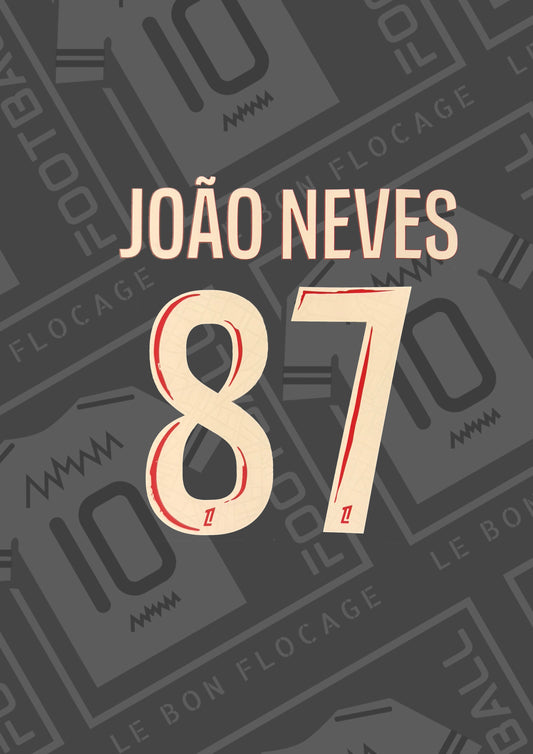 Flocage officiel - PSG, Joao Neves, 2024/2025, domicile