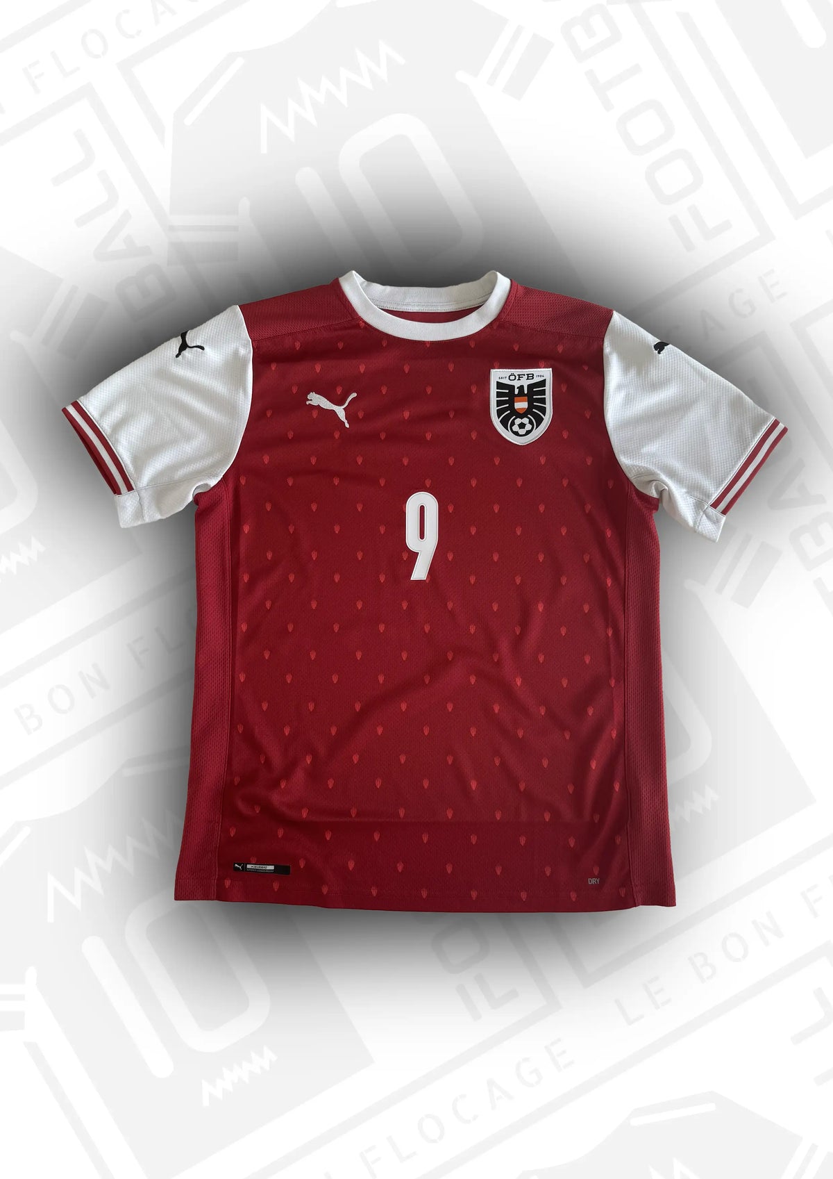 maillot-officiel-autriche-domicile-2020-face-numero-9