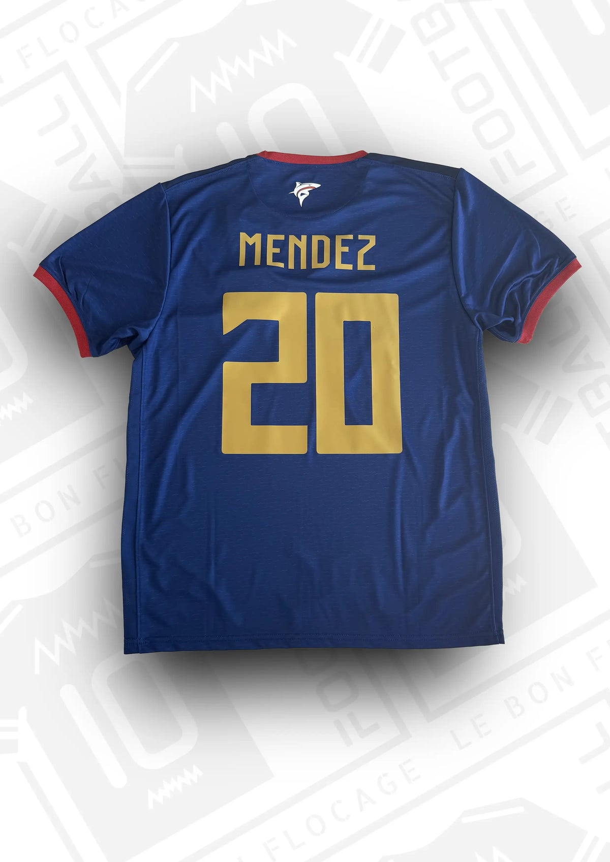 maillot-offiicel-cap-vert-2024-domicile-dos-mendez-20