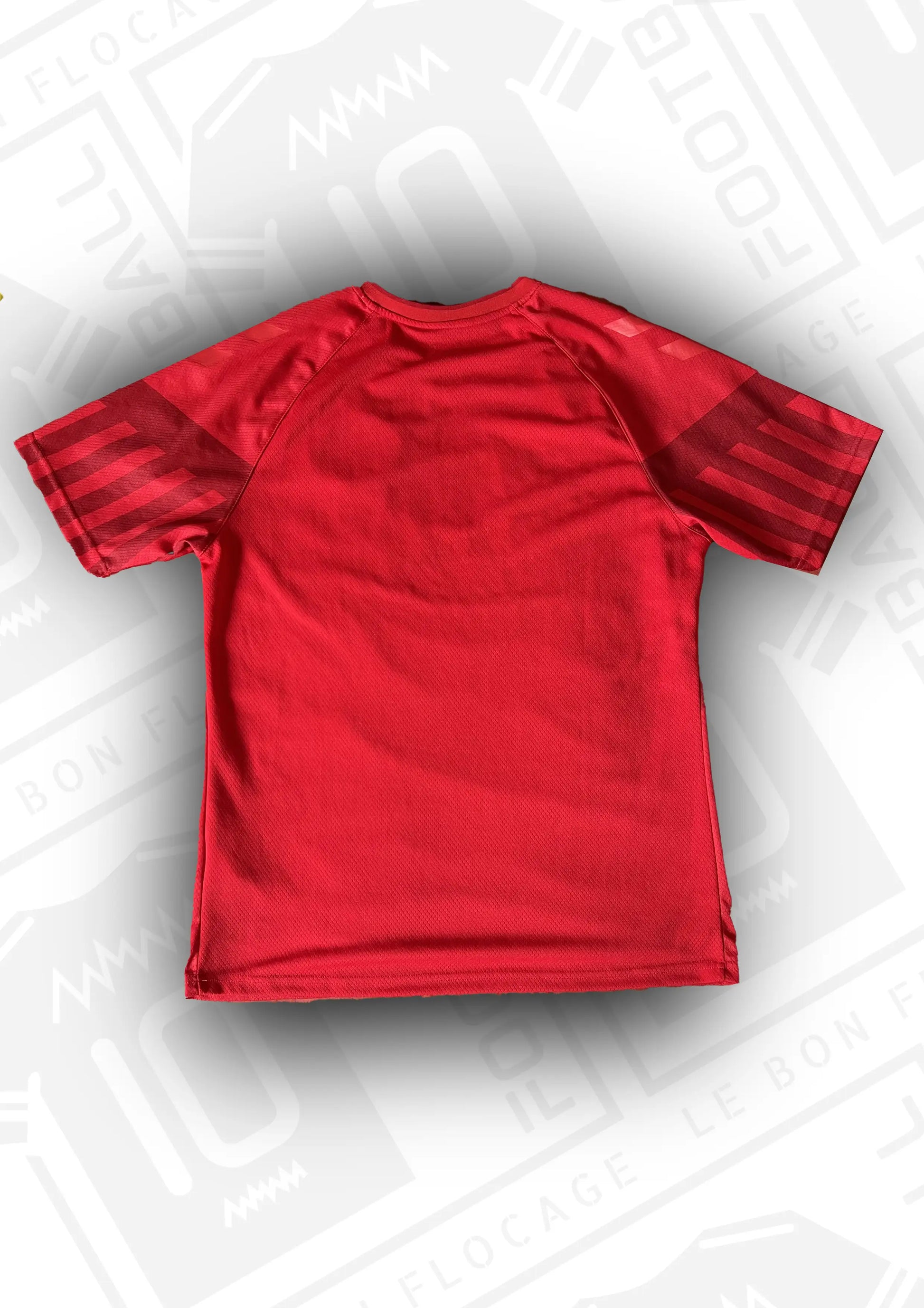 maillot-officiel-danemark-2022-domicile-dos