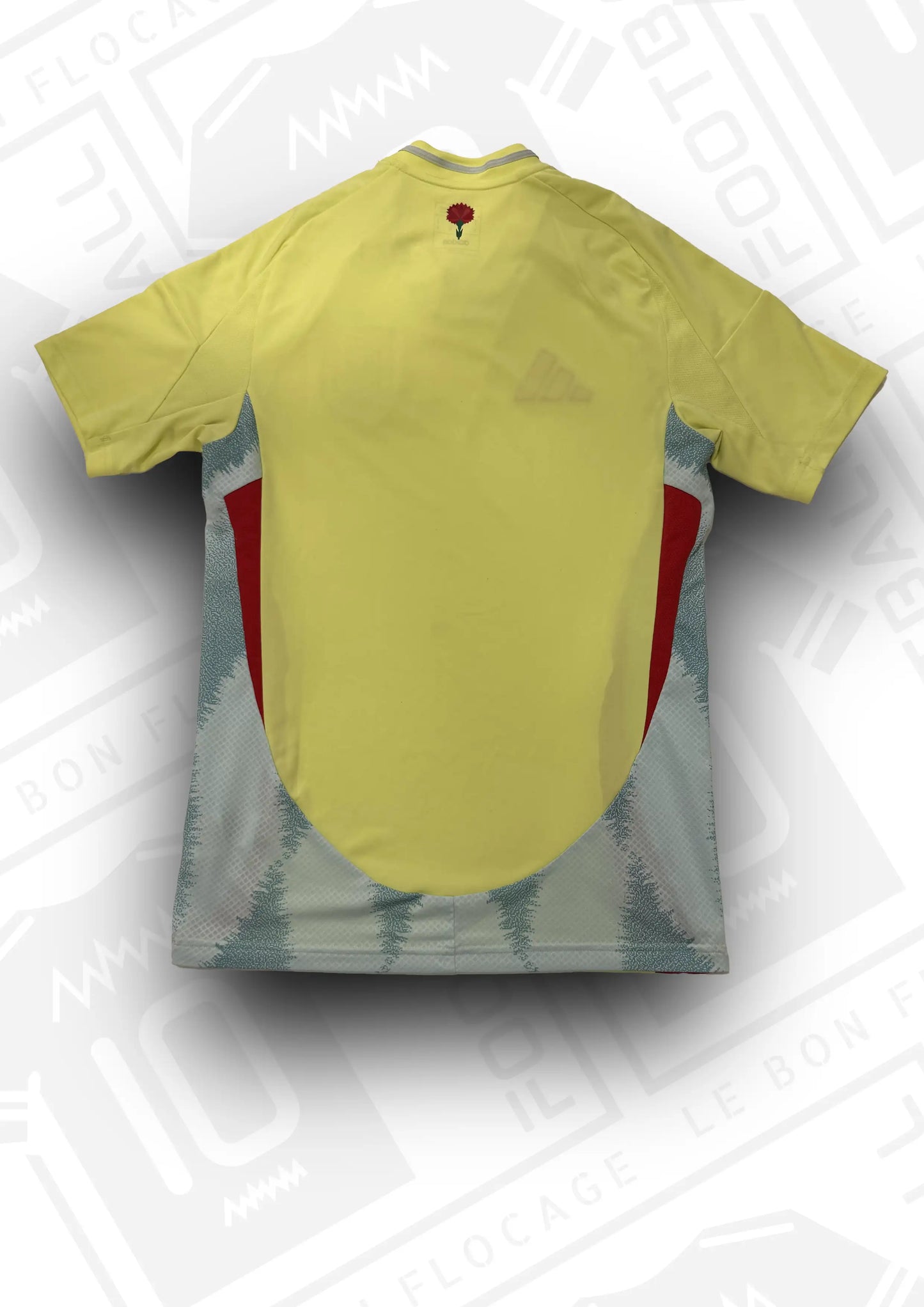 maillot-officiel-espagne-2024-exterieur-dos