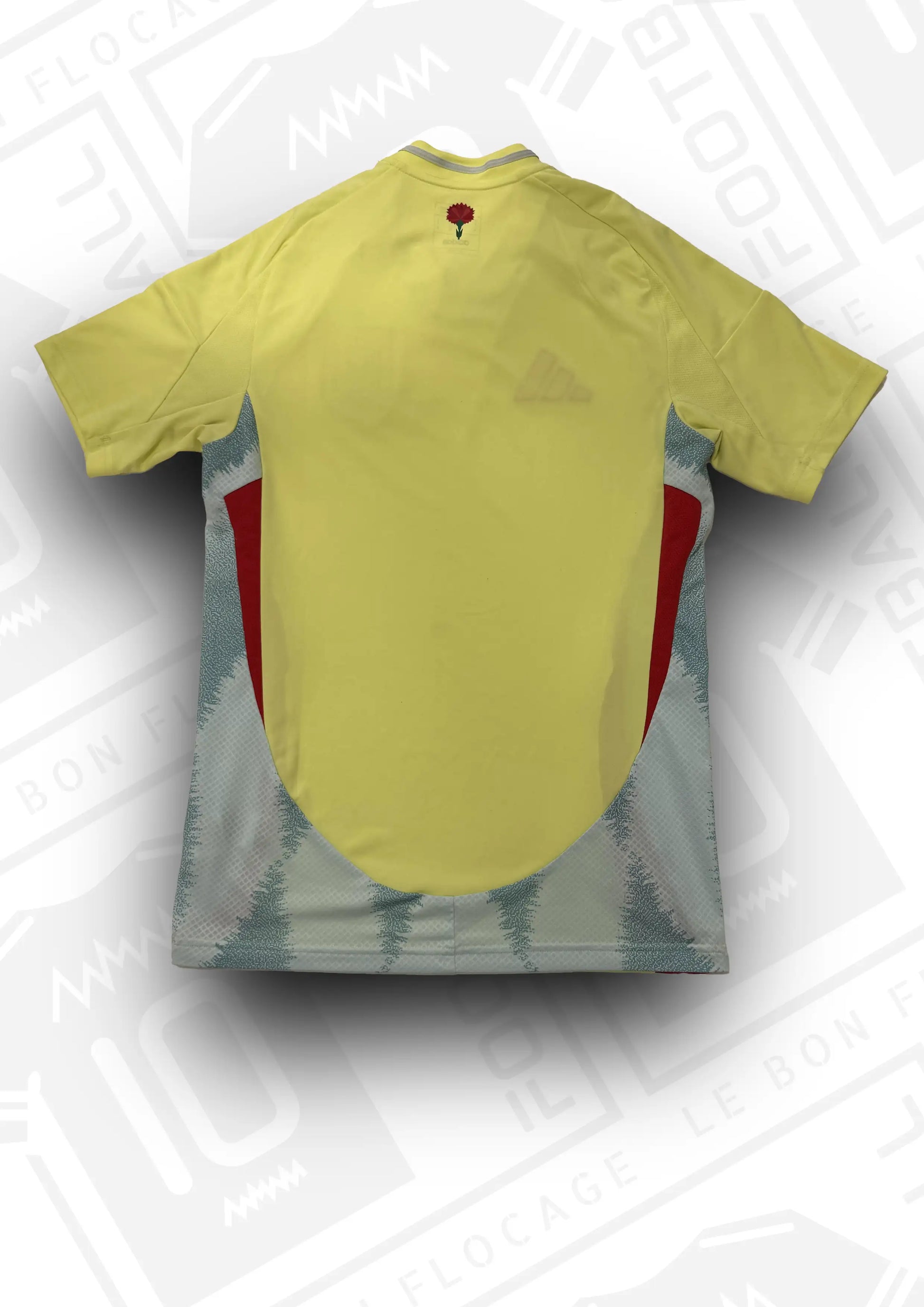 maillot-officiel-espagne-2024-exterieur-dos